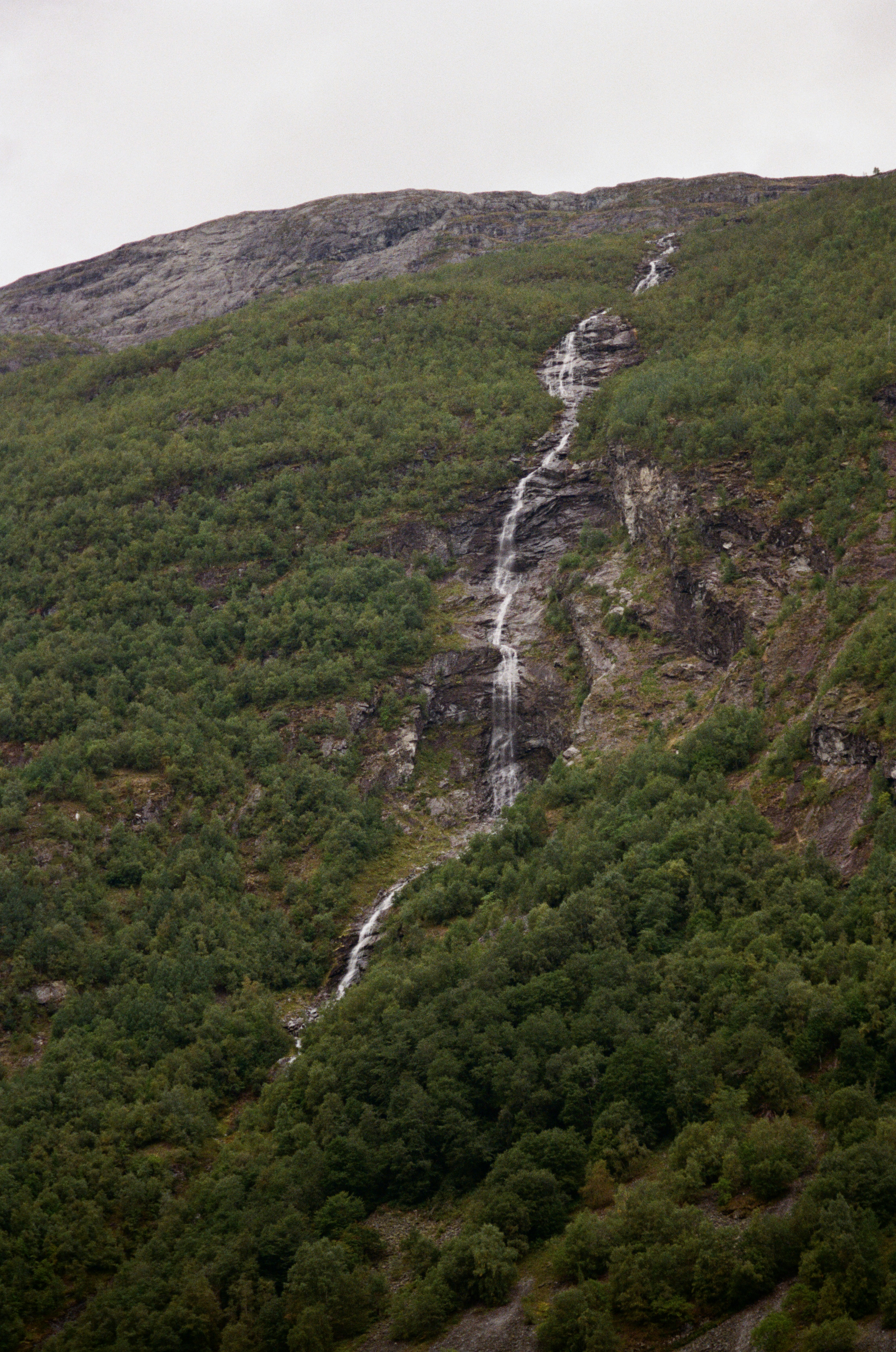 Photo by bernhardbar