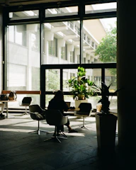 Person works on laptop near large window with plants.