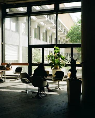 Person works on laptop near large window with plants.