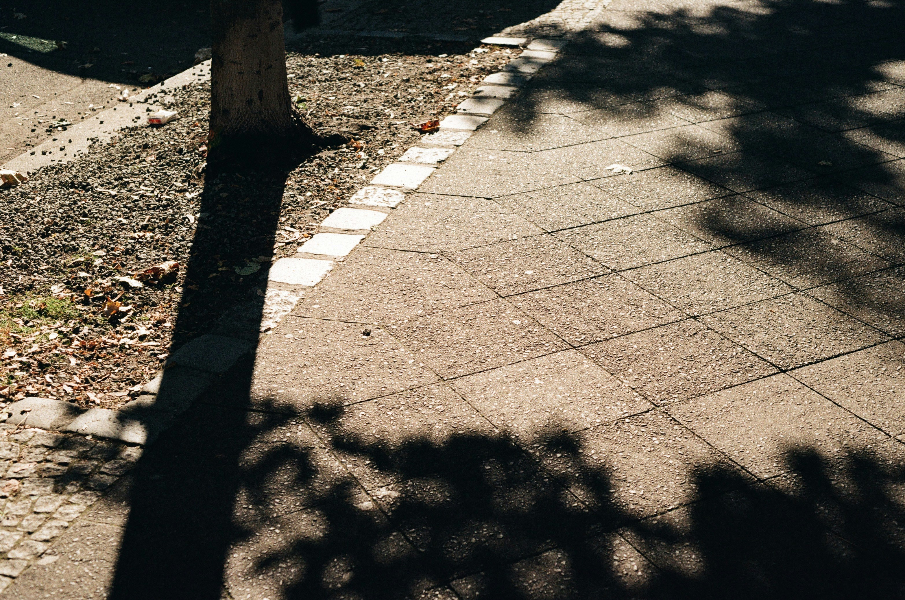 Photo by _kseniademenko