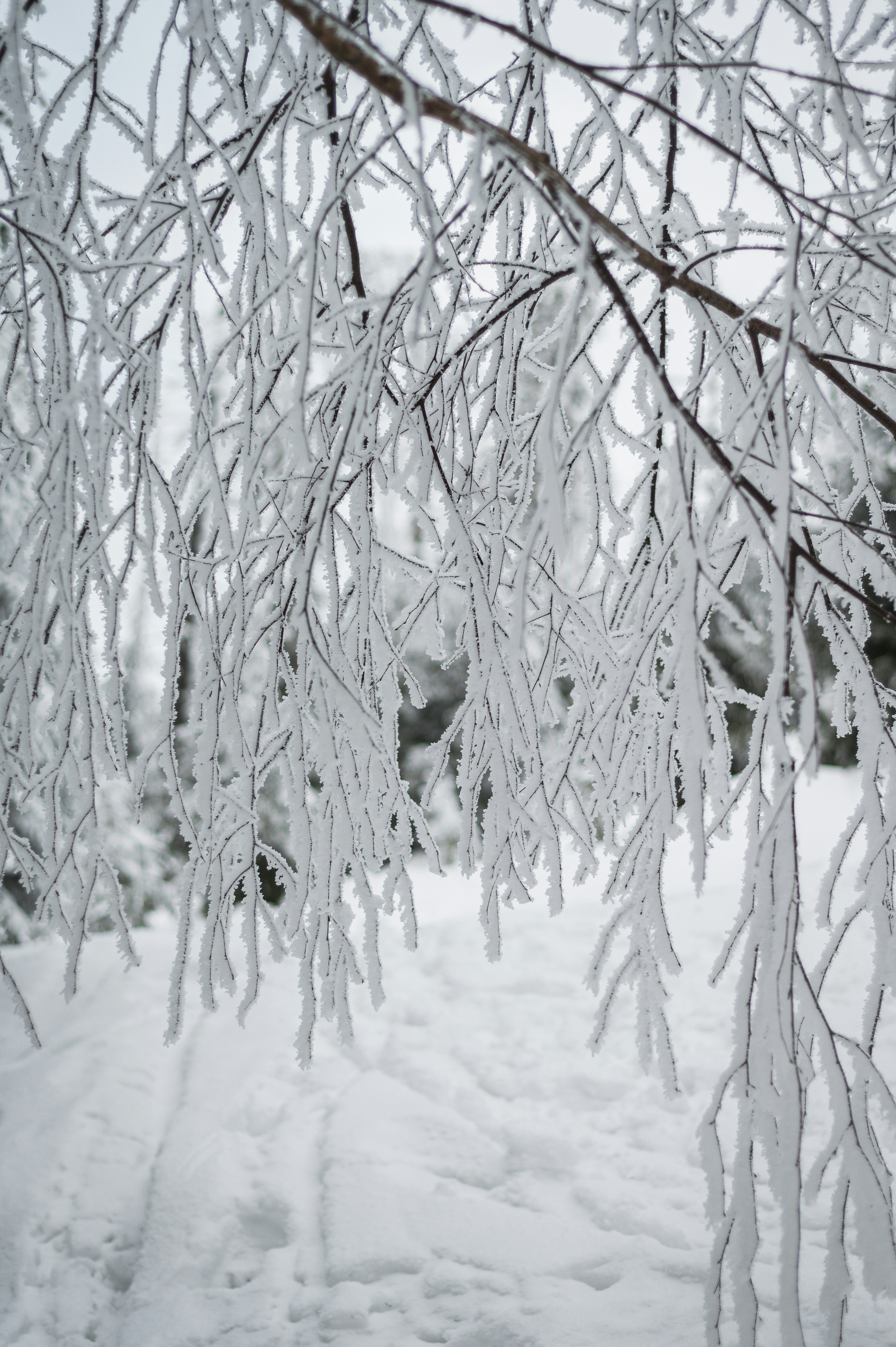 Photo by alexandra_p_d