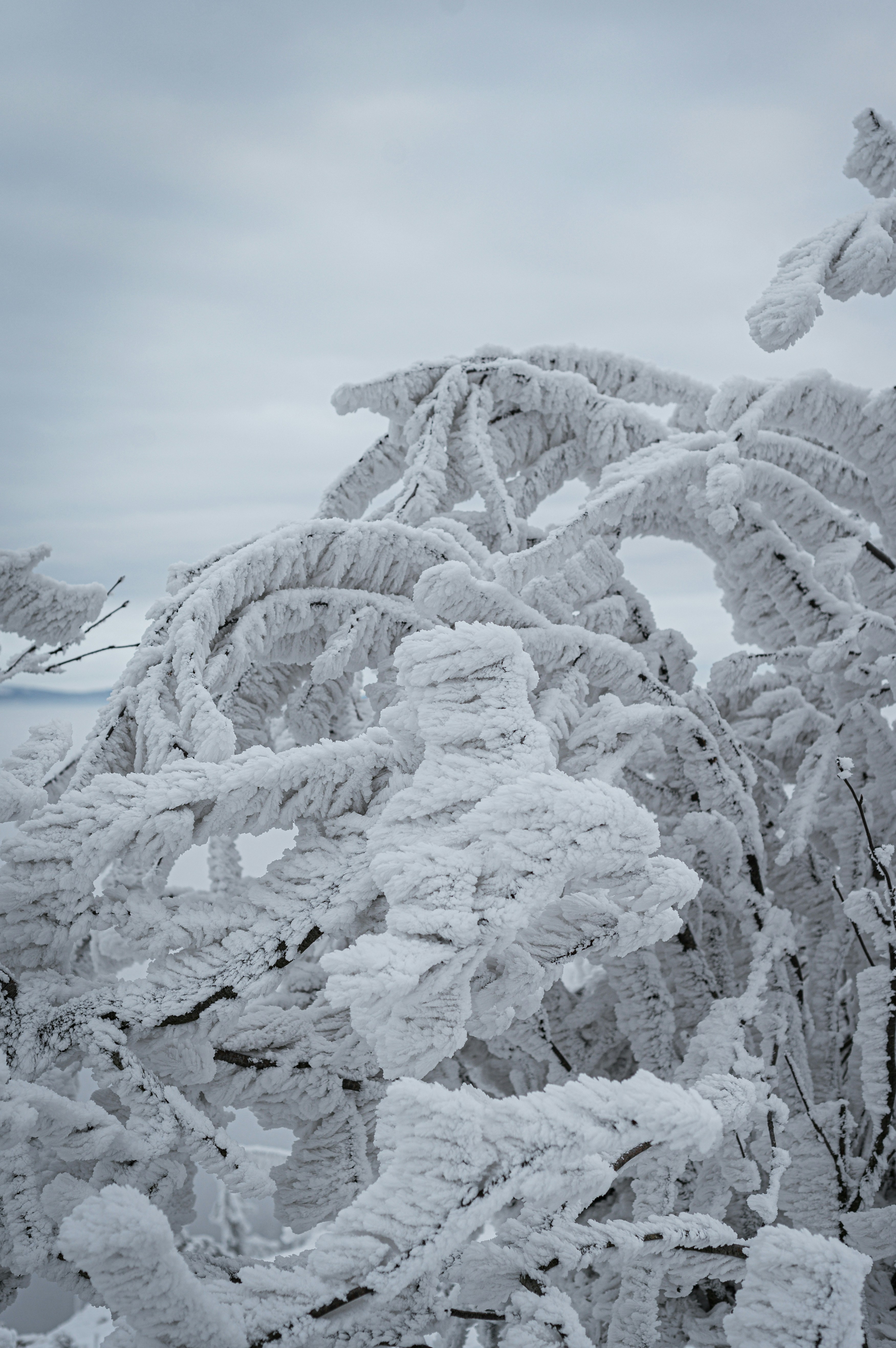 Photo by alexandra_p_d