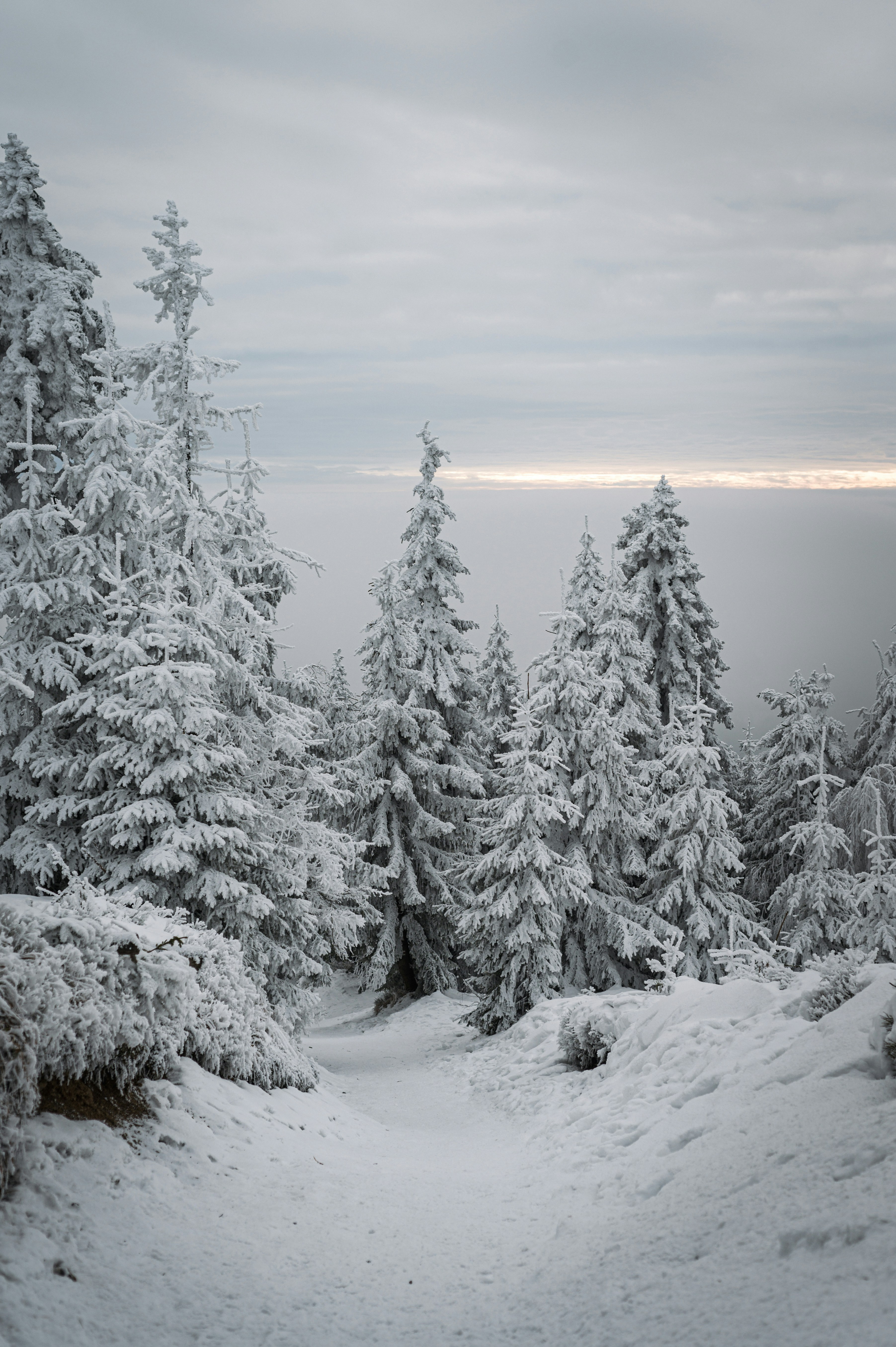 Photo by alexandra_p_d