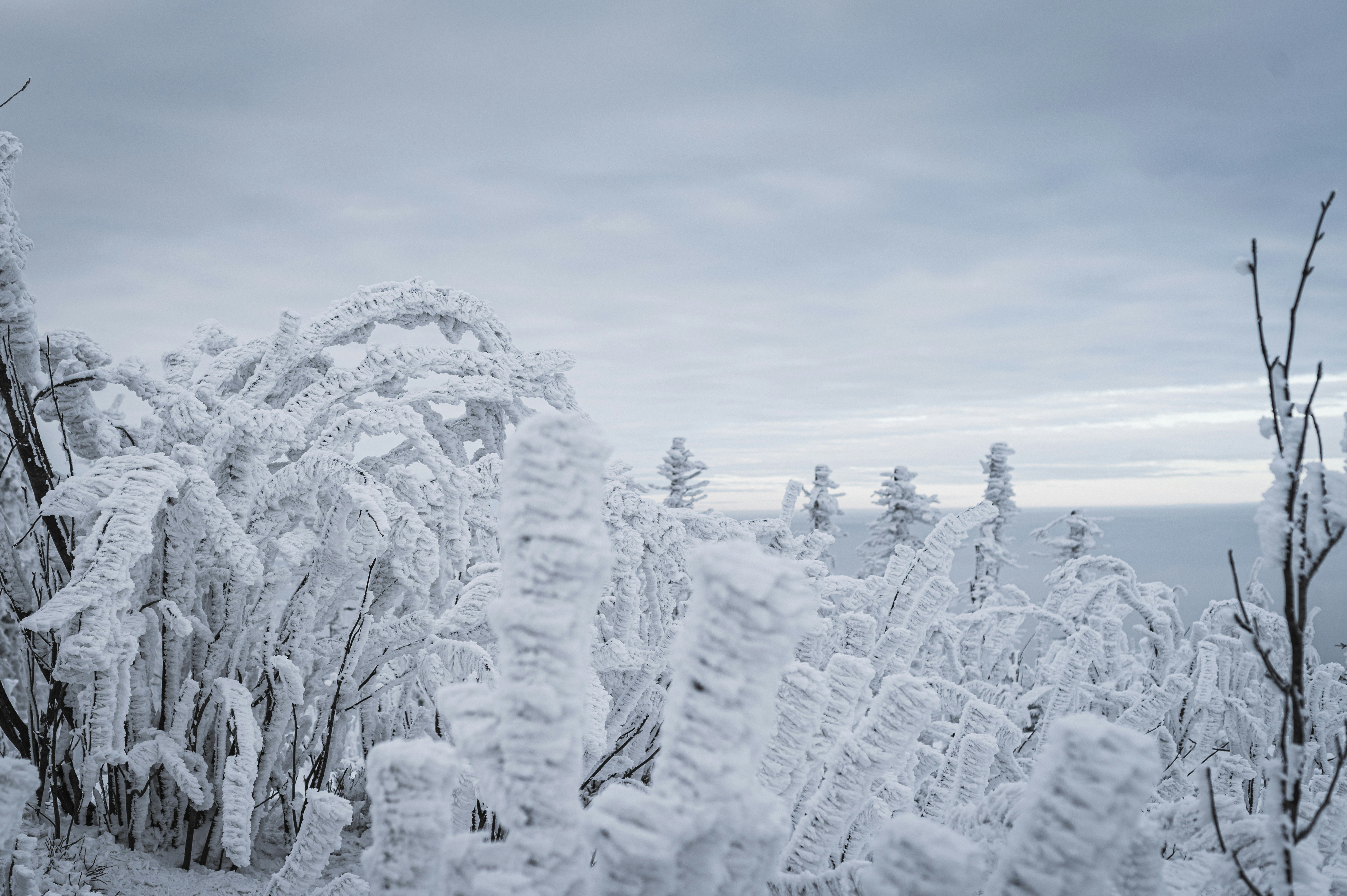 Photo by alexandra_p_d