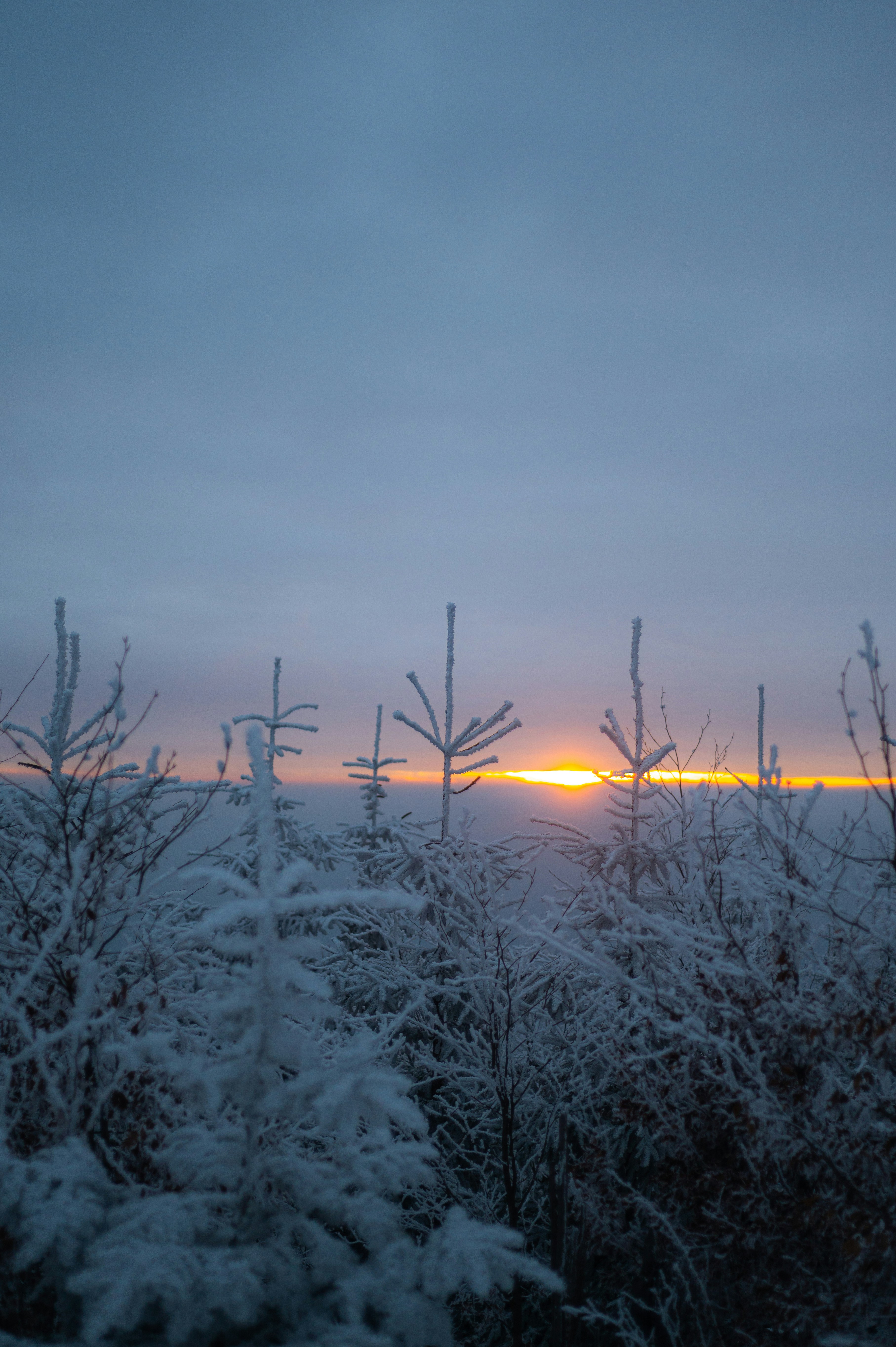 Photo by alexandra_p_d