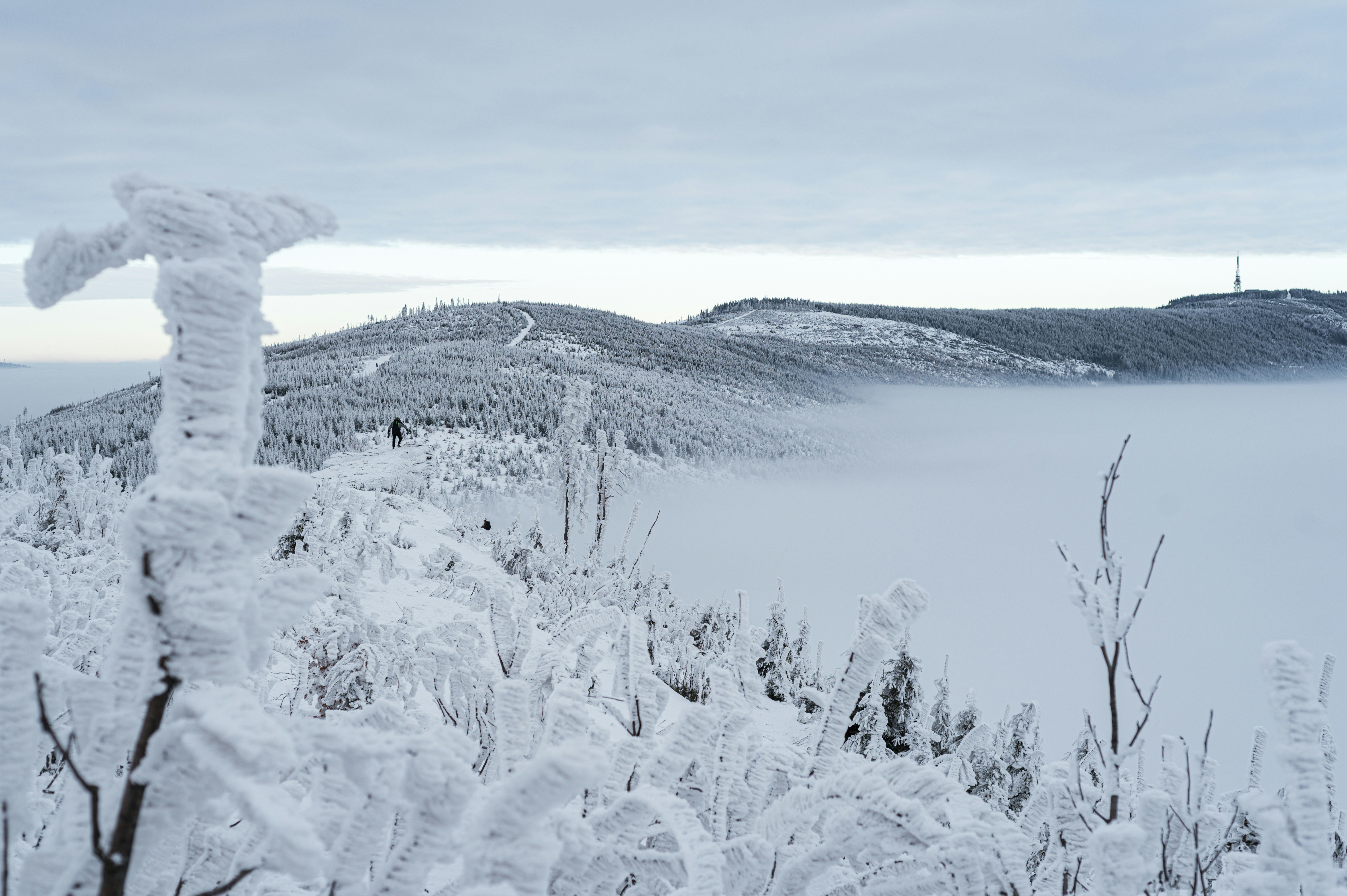 雪に覆われた木々や雲の下の山々