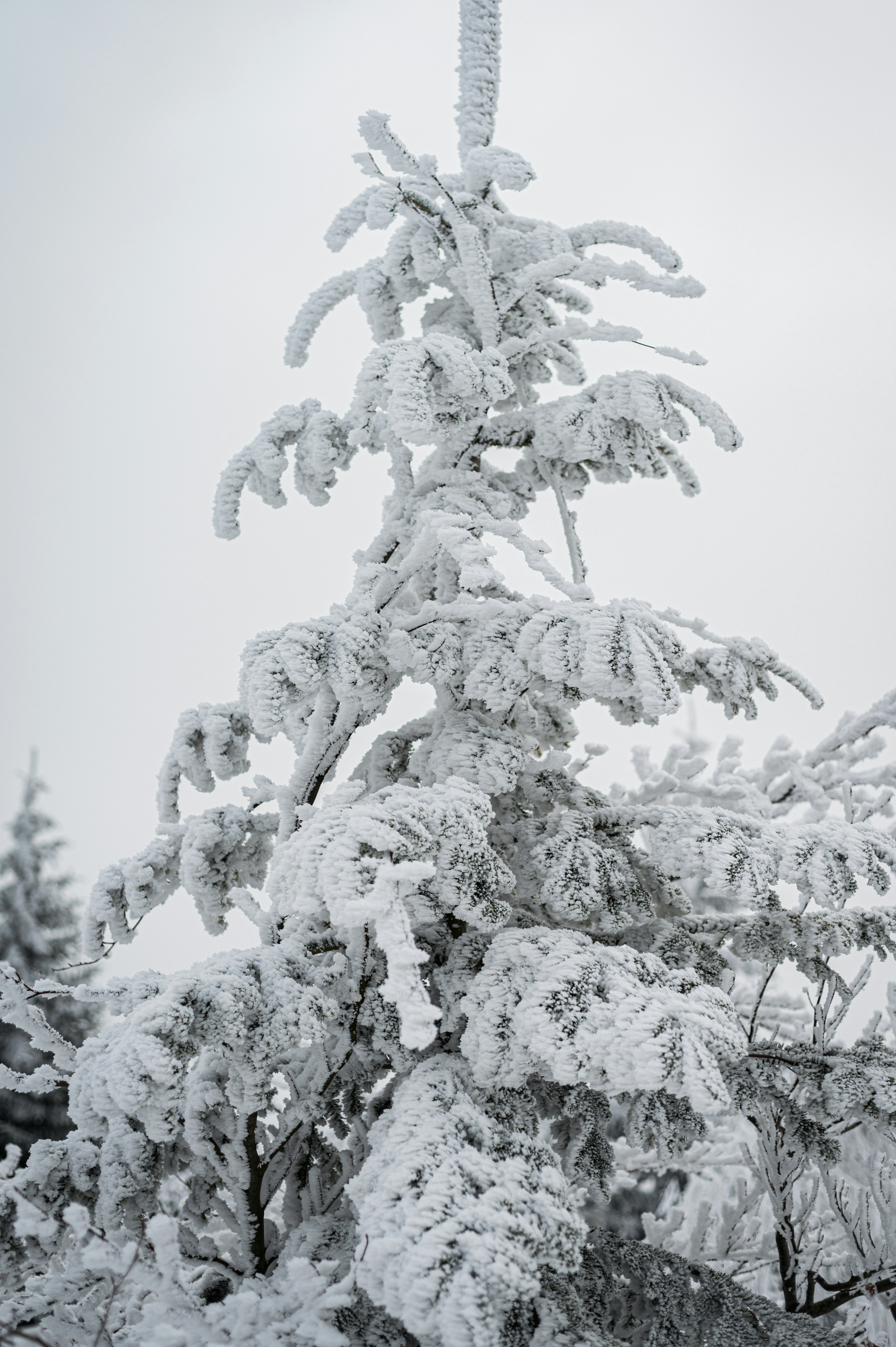 Photo by alexandra_p_d