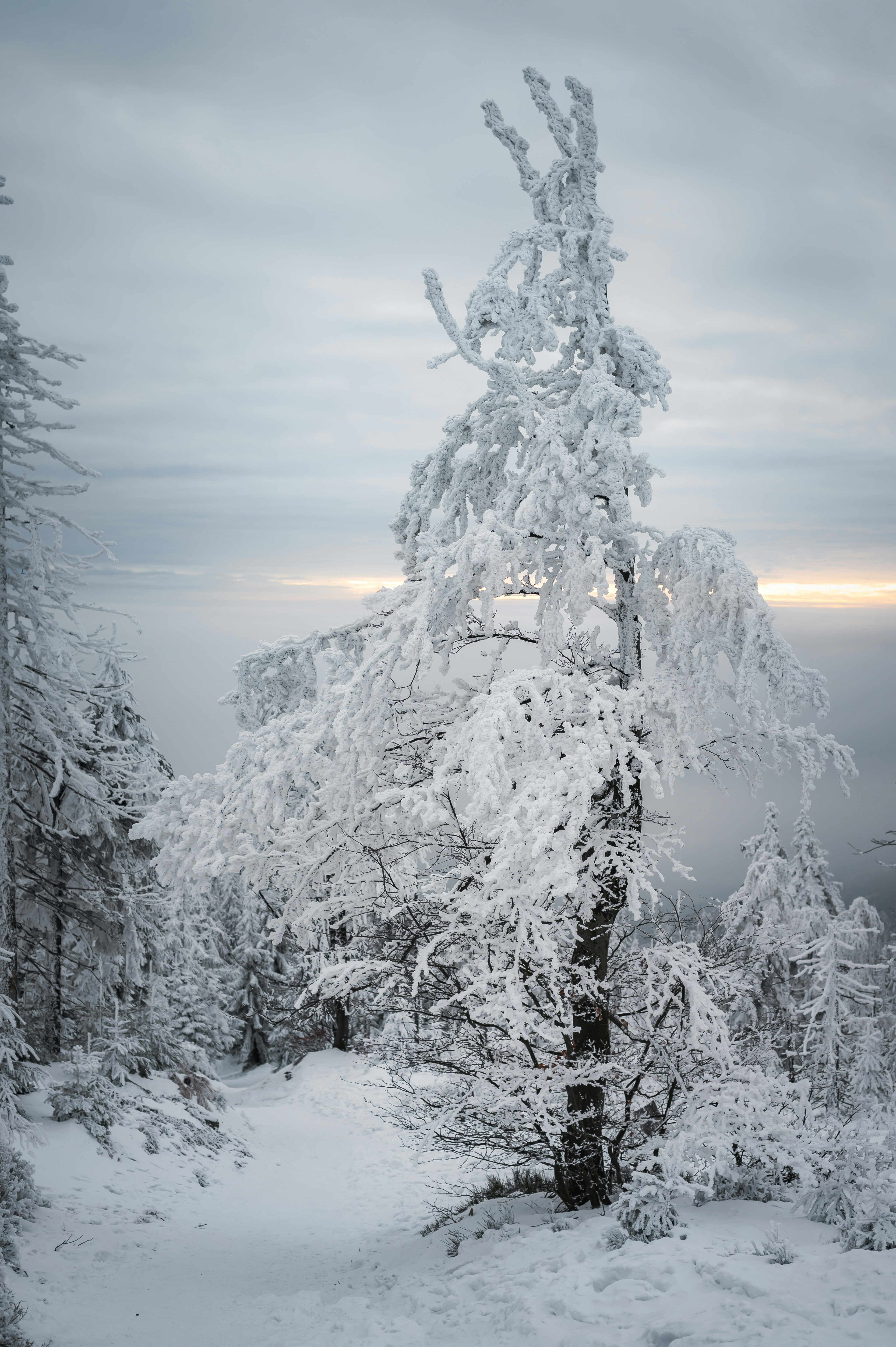 Photo by alexandra_p_d