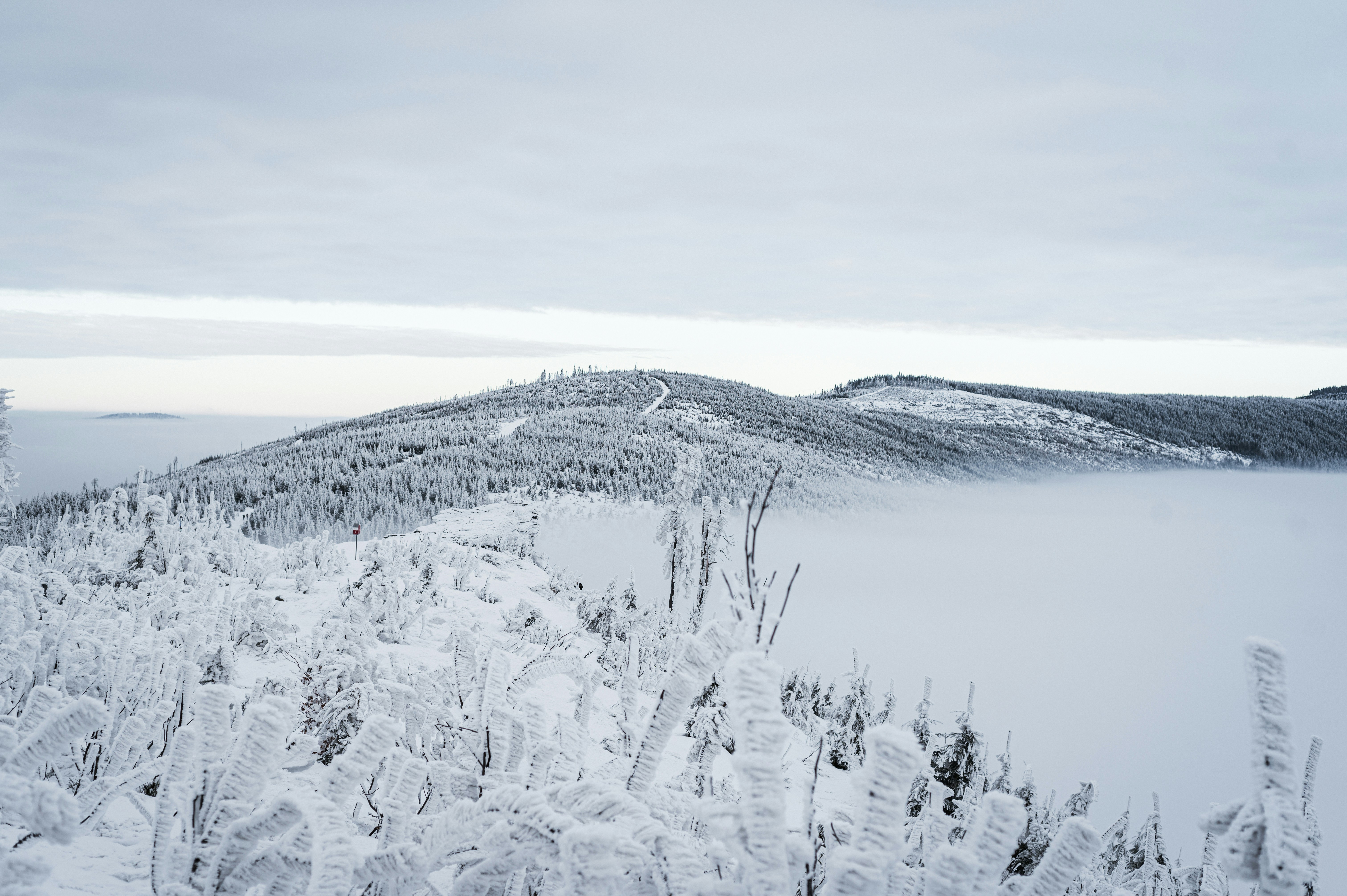 Photo by alexandra_p_d