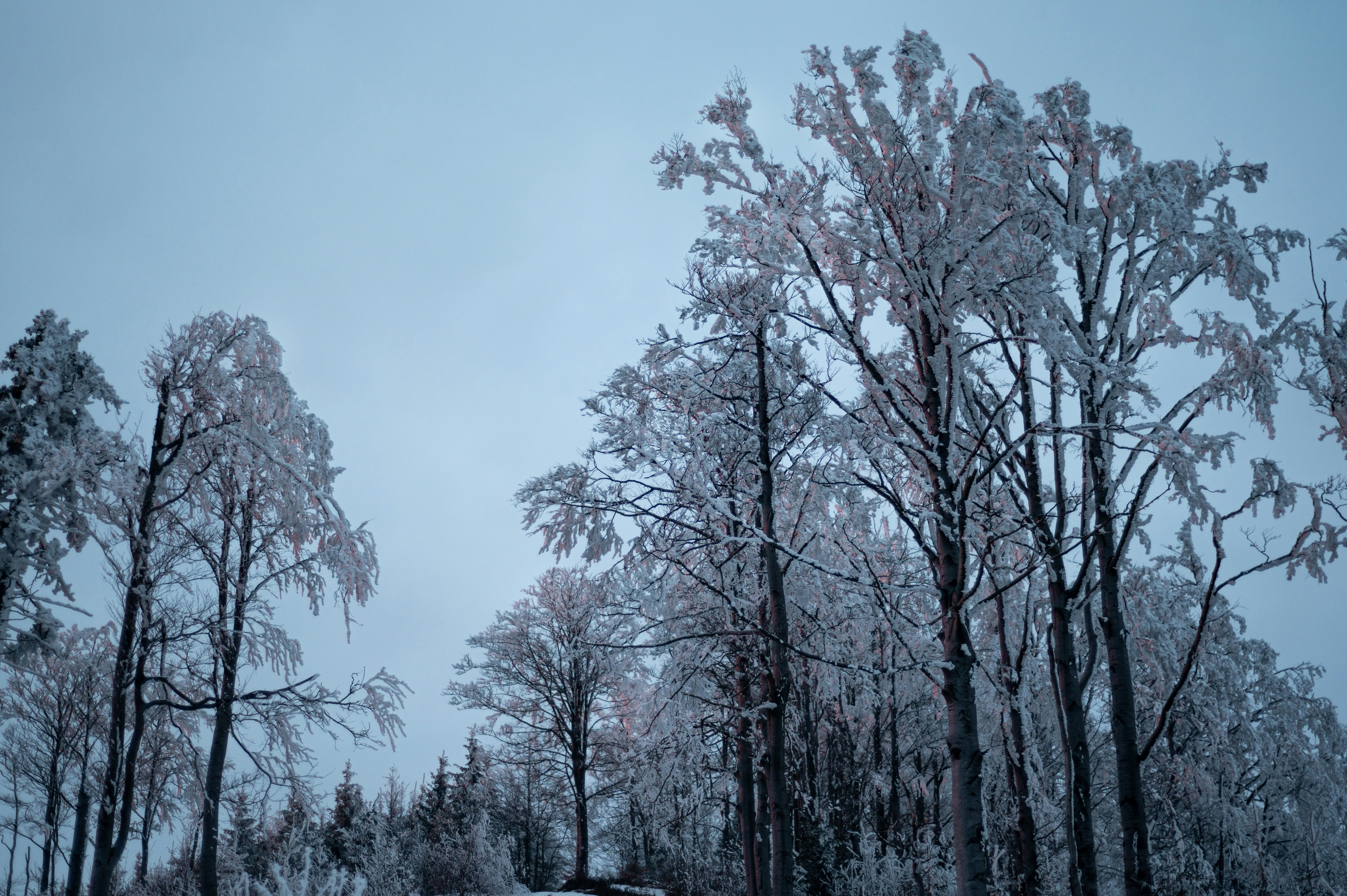 Photo by alexandra_p_d