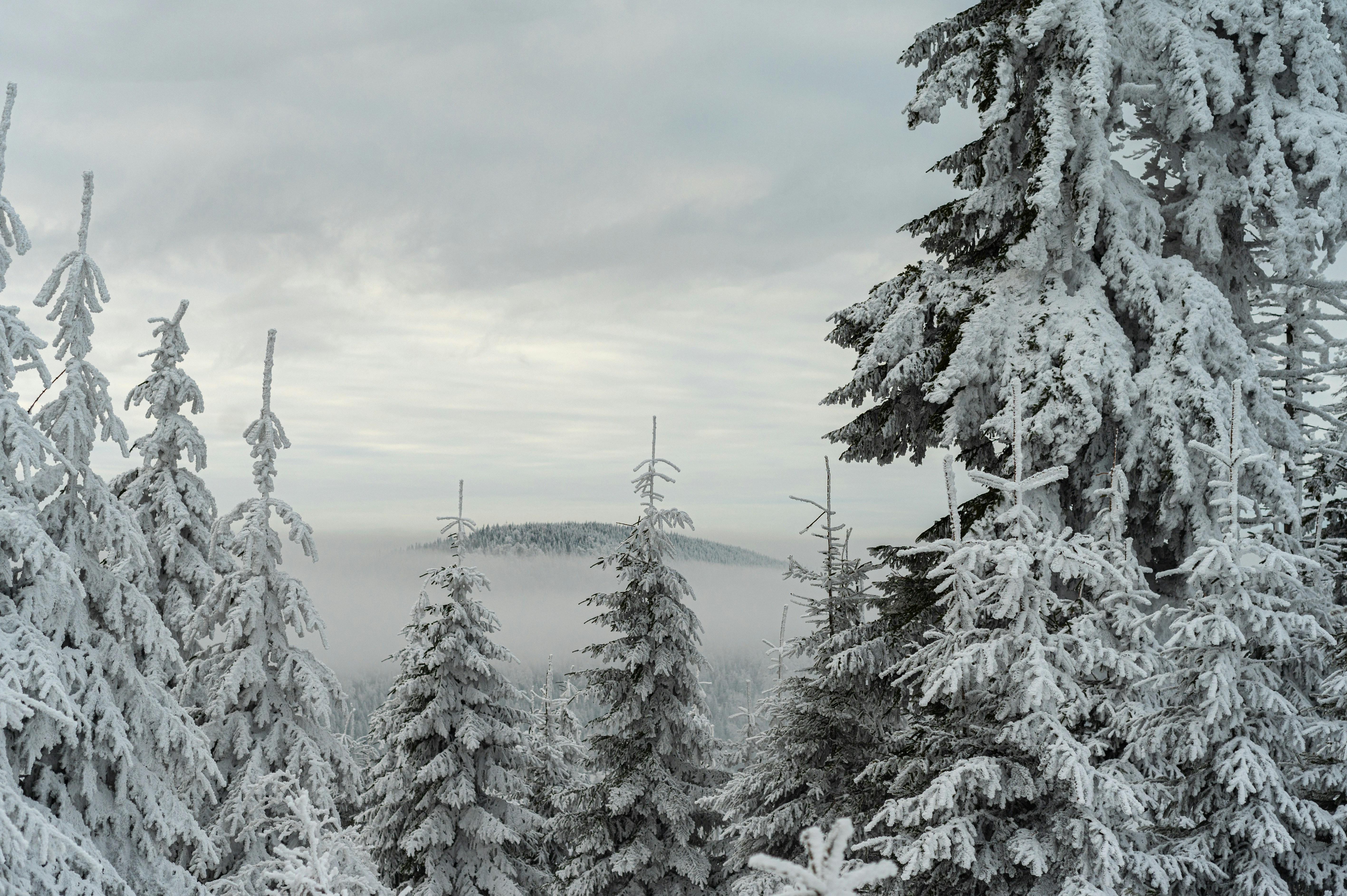 Photo by alexandra_p_d