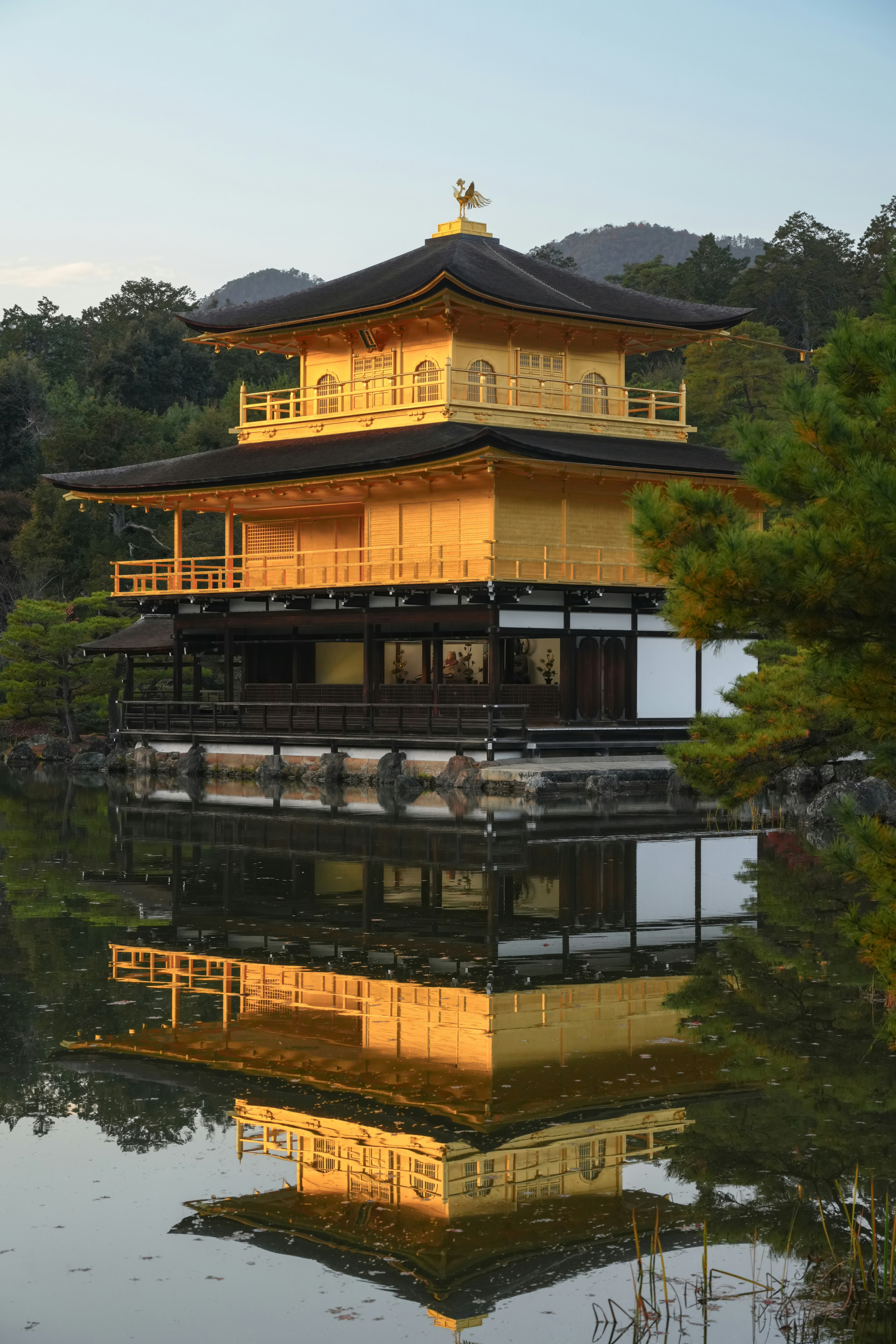 Photo by hattrick1996