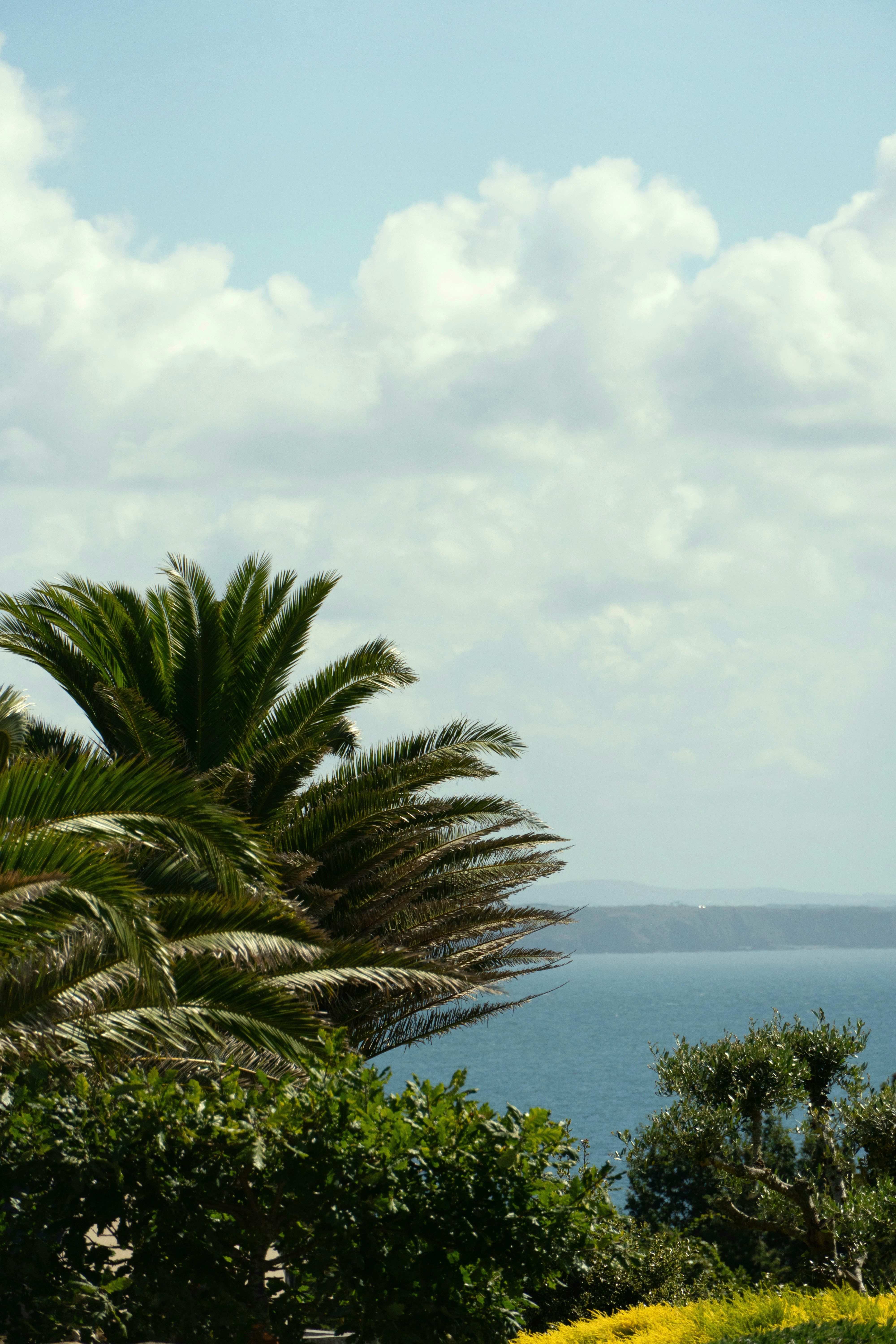 Photo by manuelfroehlich