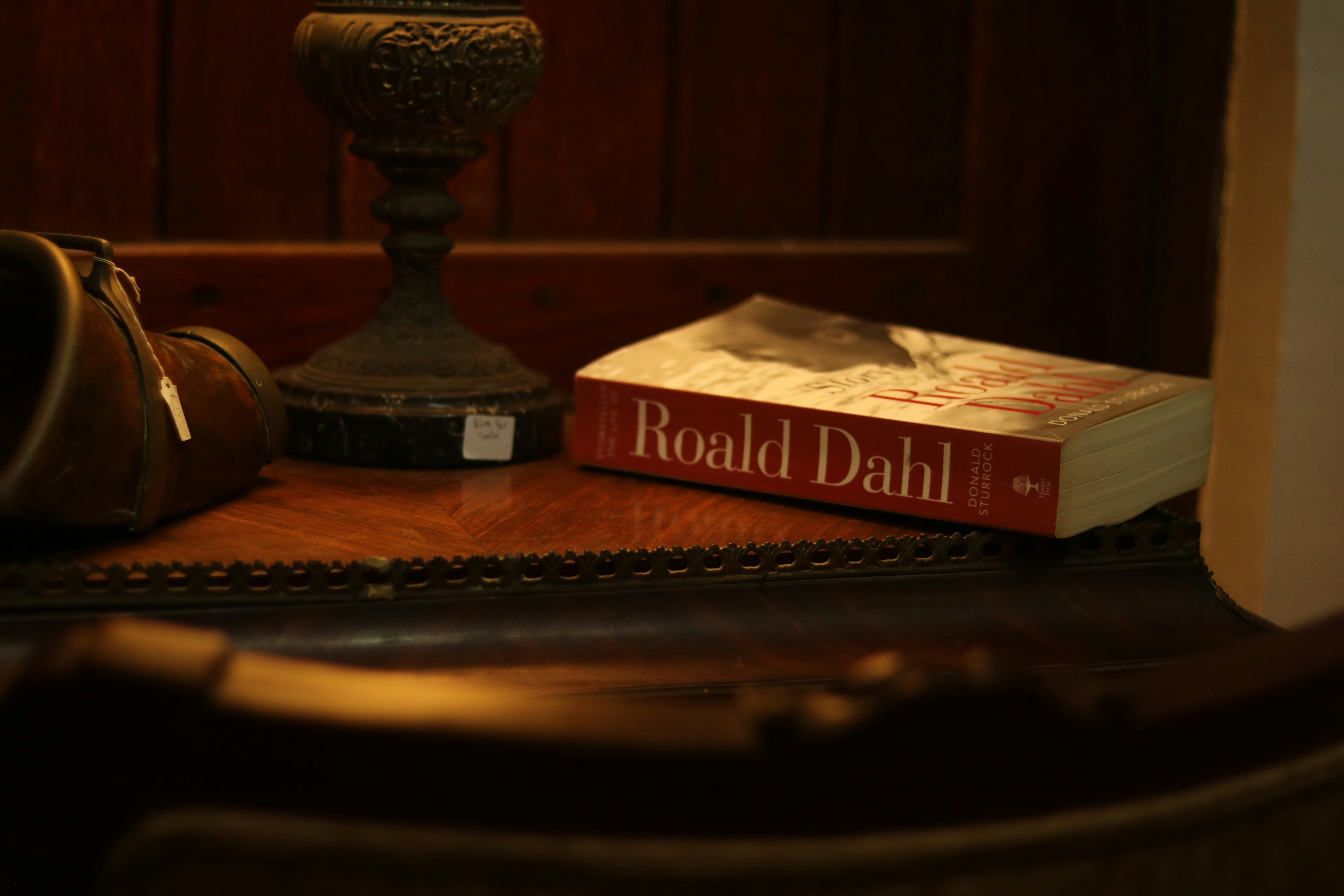 A book by roald dahl rests on a wooden shelf.