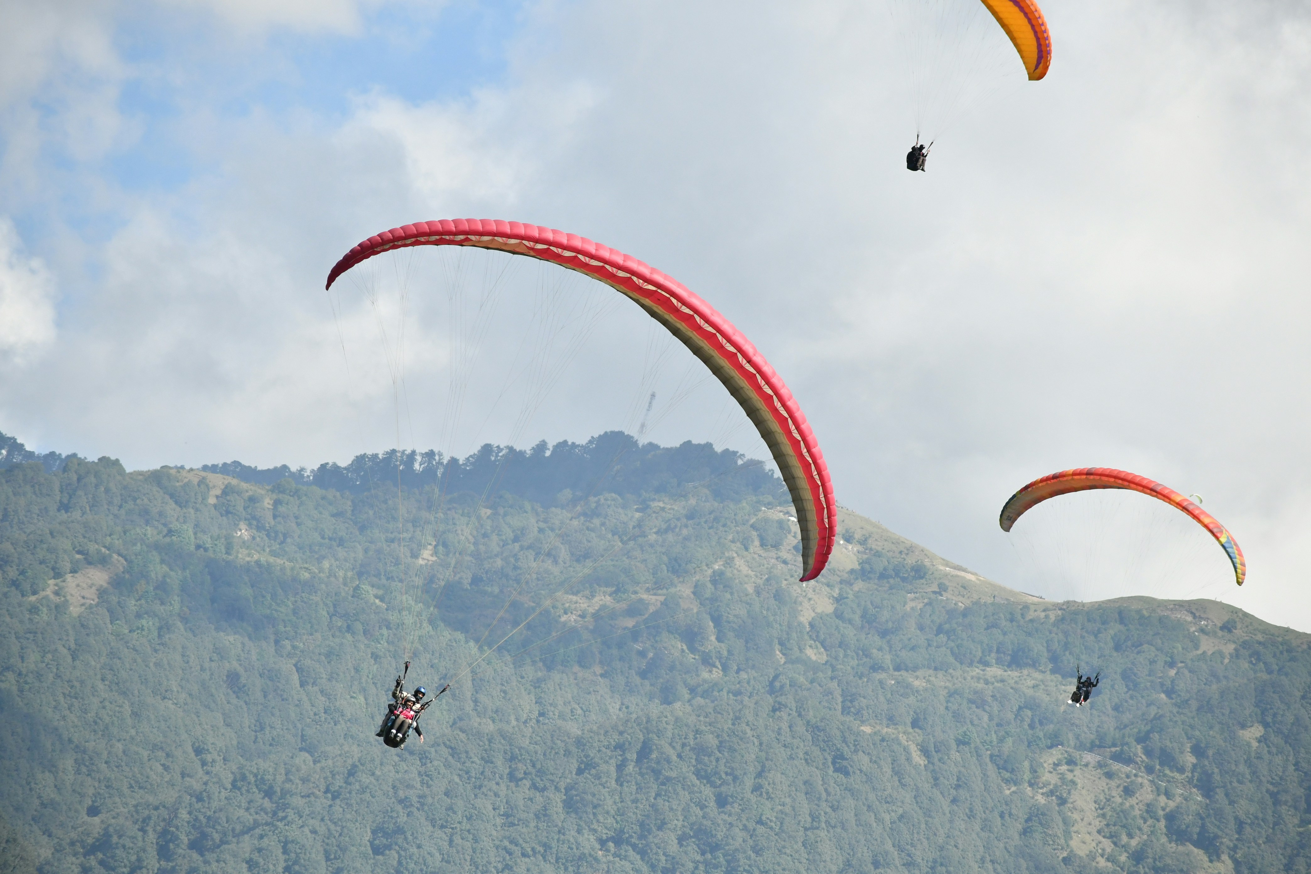Embracing the Heat: Practical Tips for Spectating at the Australian Open