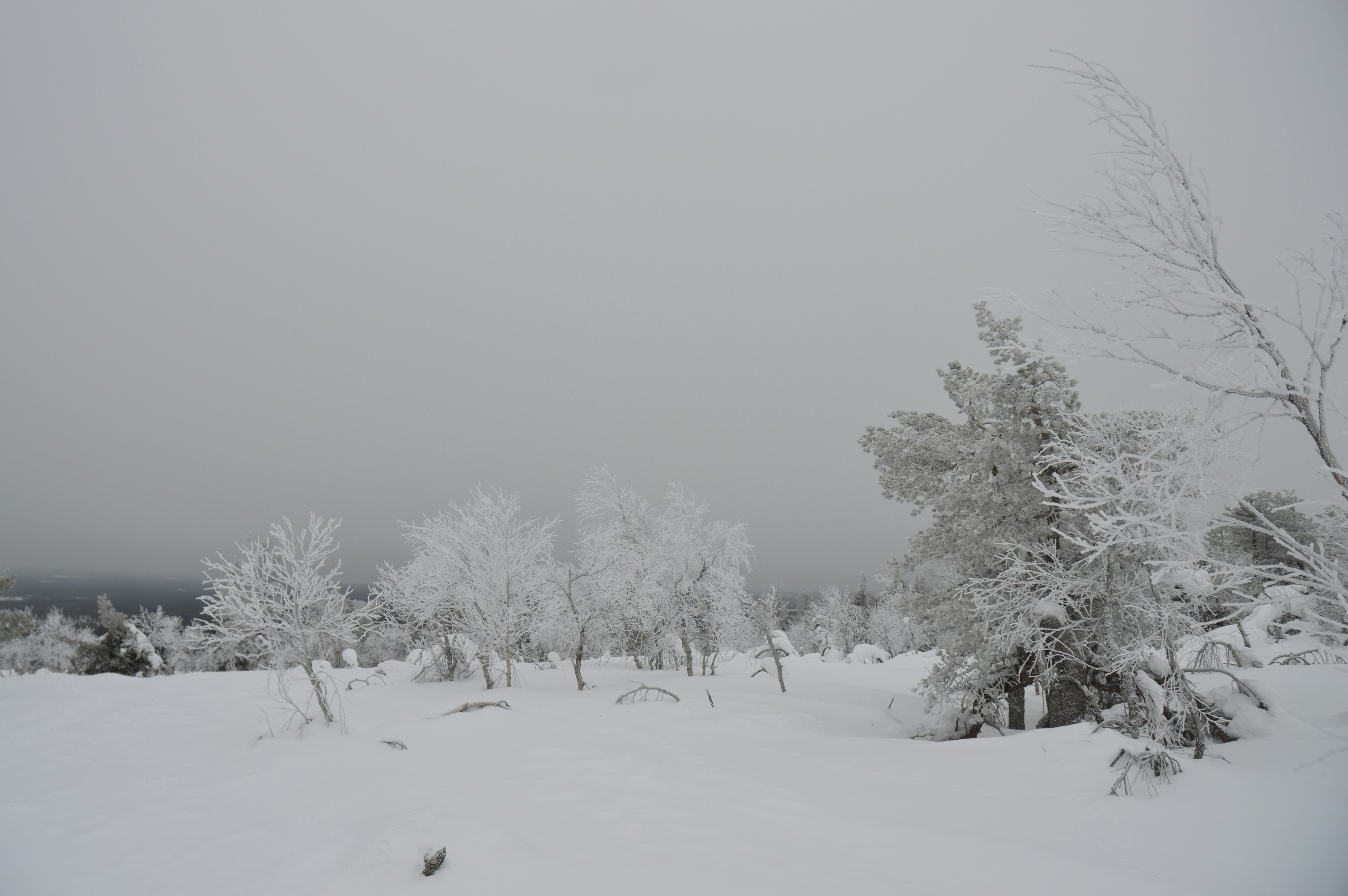 Photo by marinacirasaro