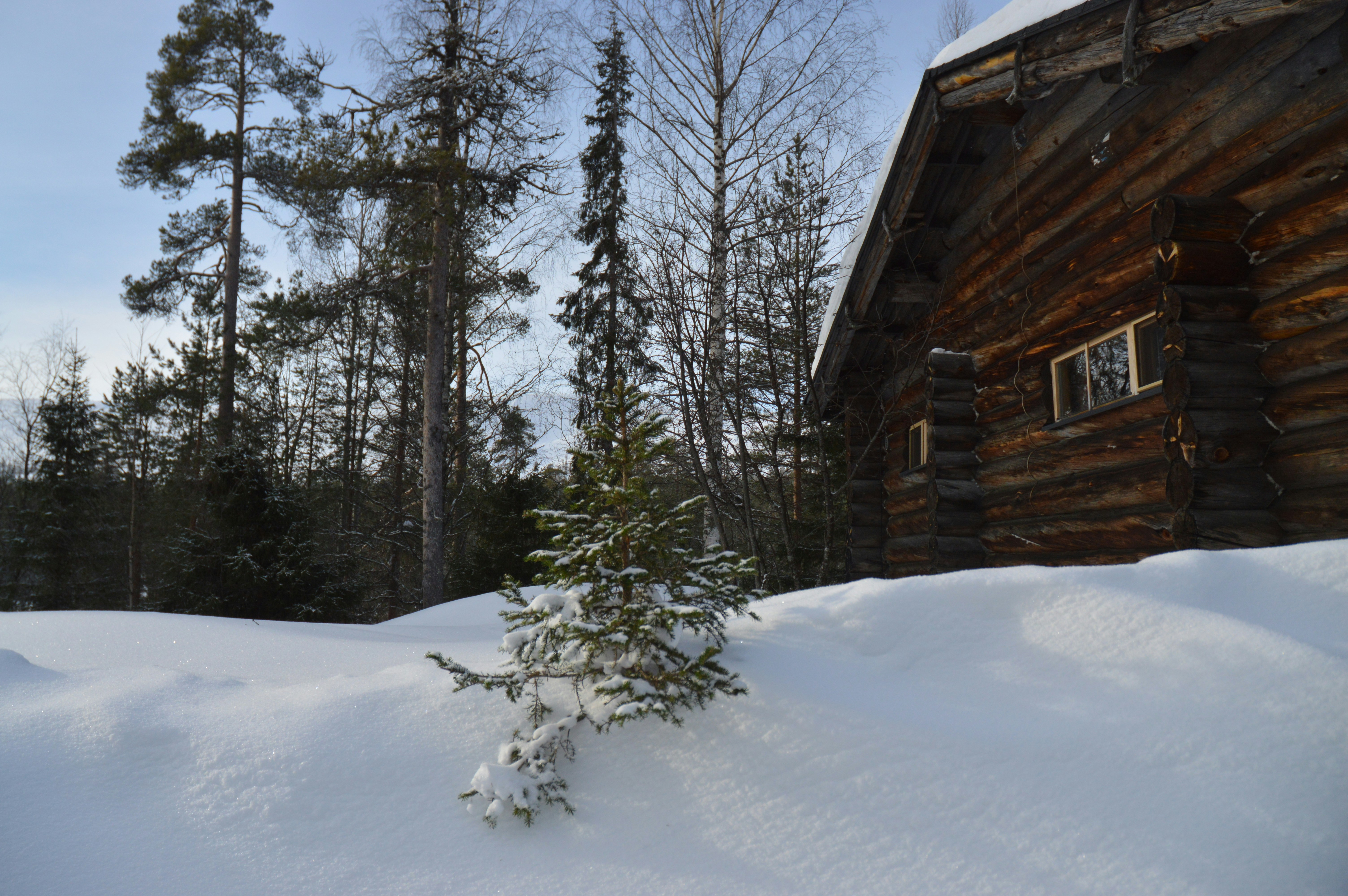 Photo by marinacirasaro