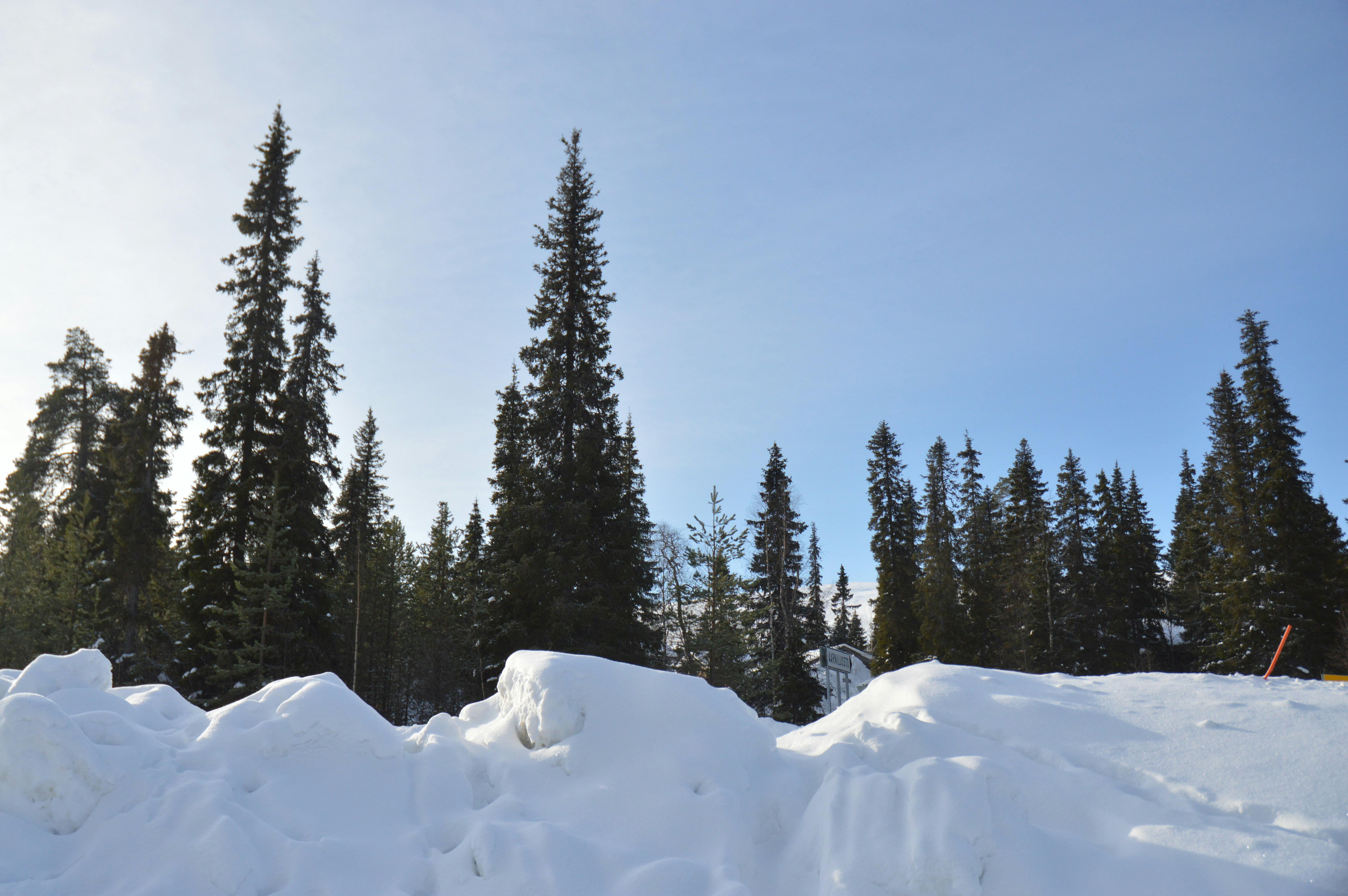 Photo by marinacirasaro