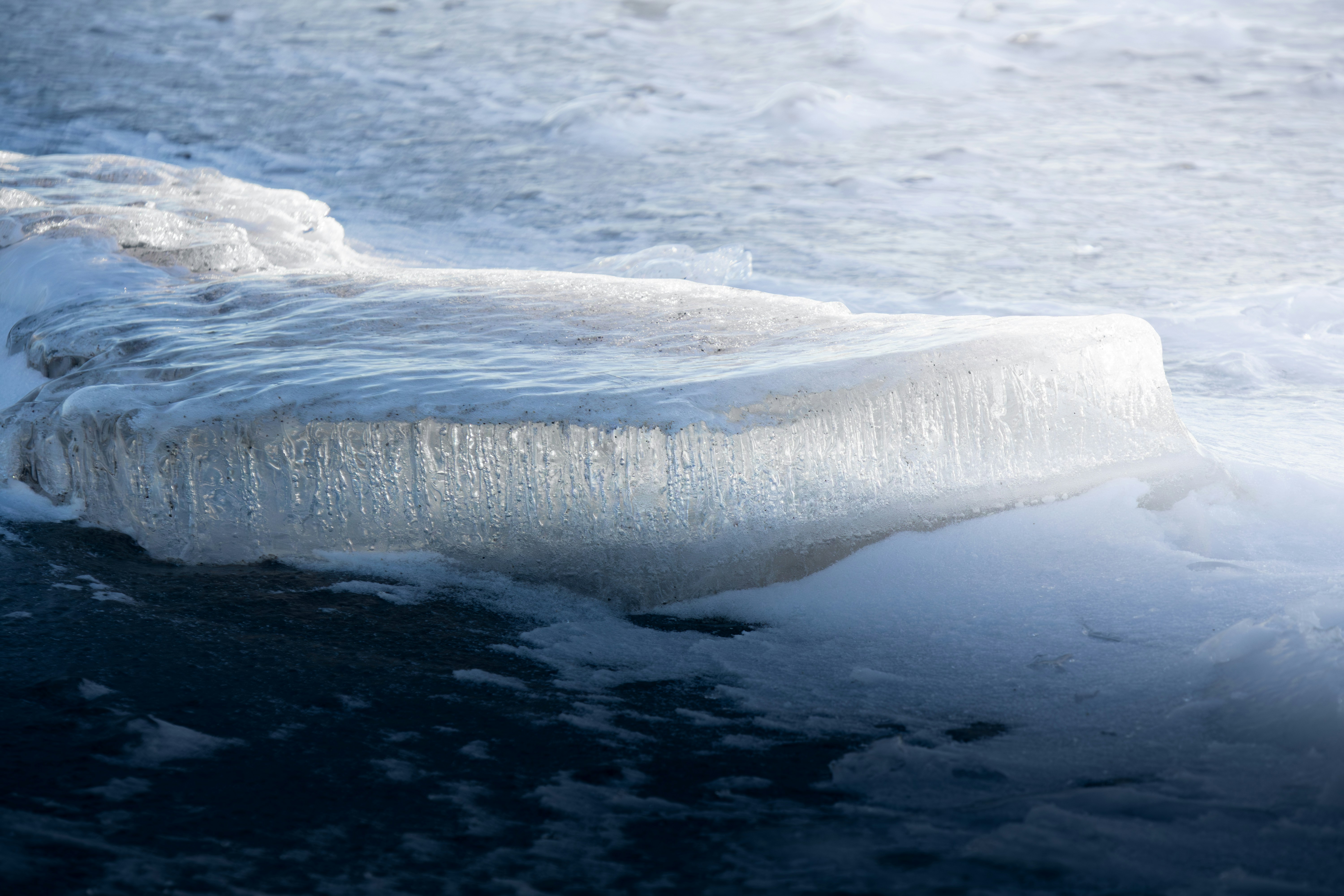 Photo by katekasiutich