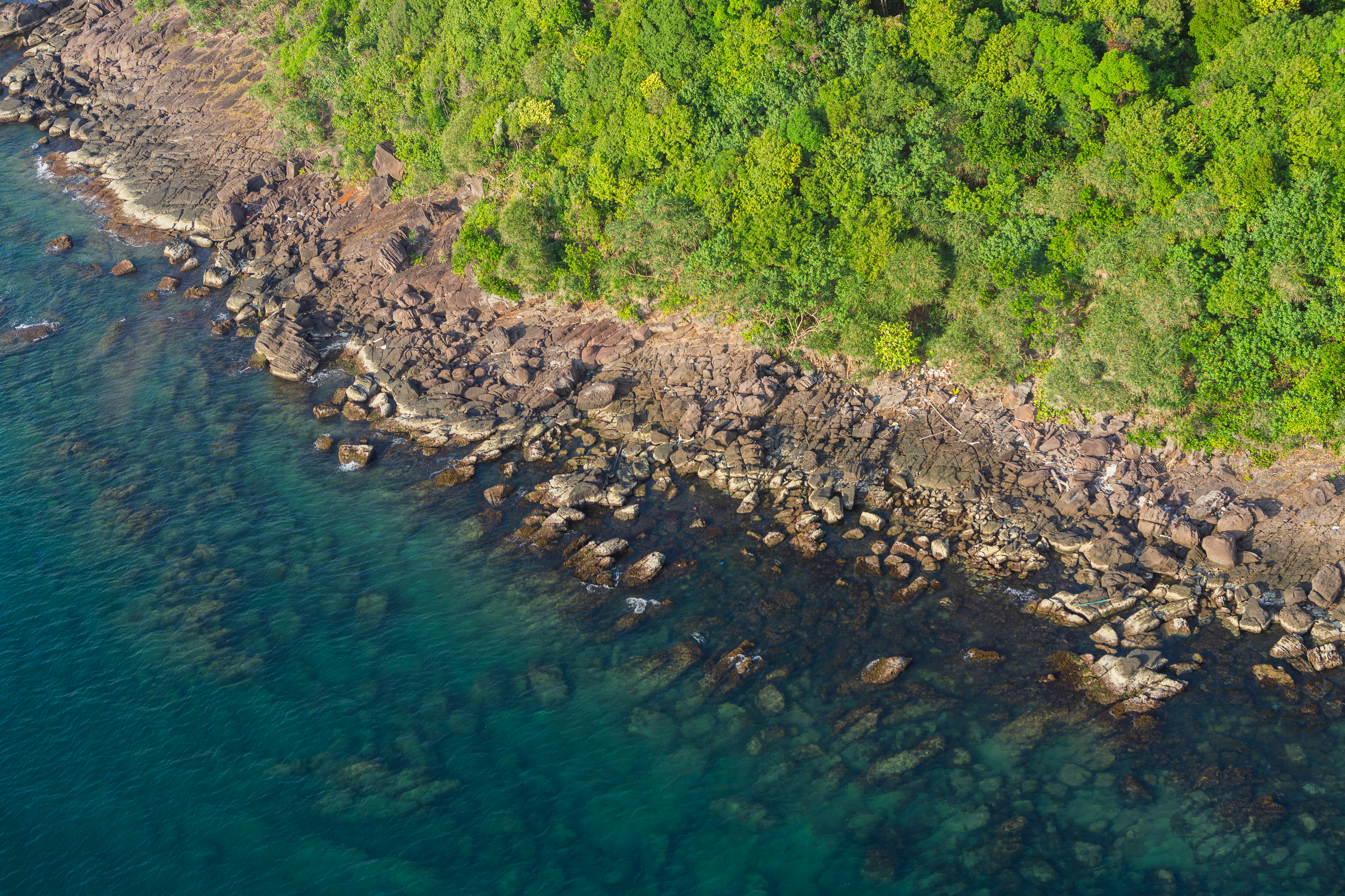 Photo by nguyen696945