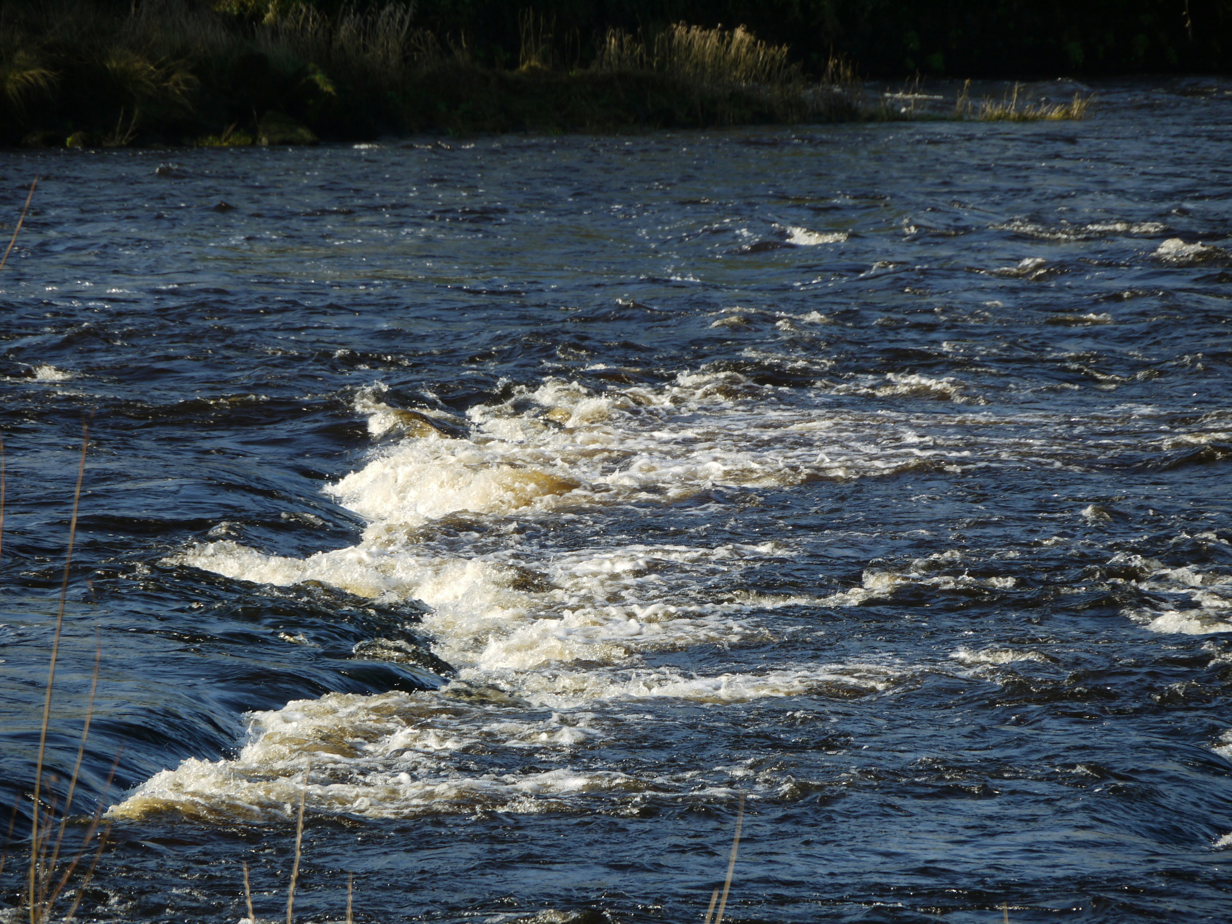 AI Search Cites Tank When Google Rankings Fall