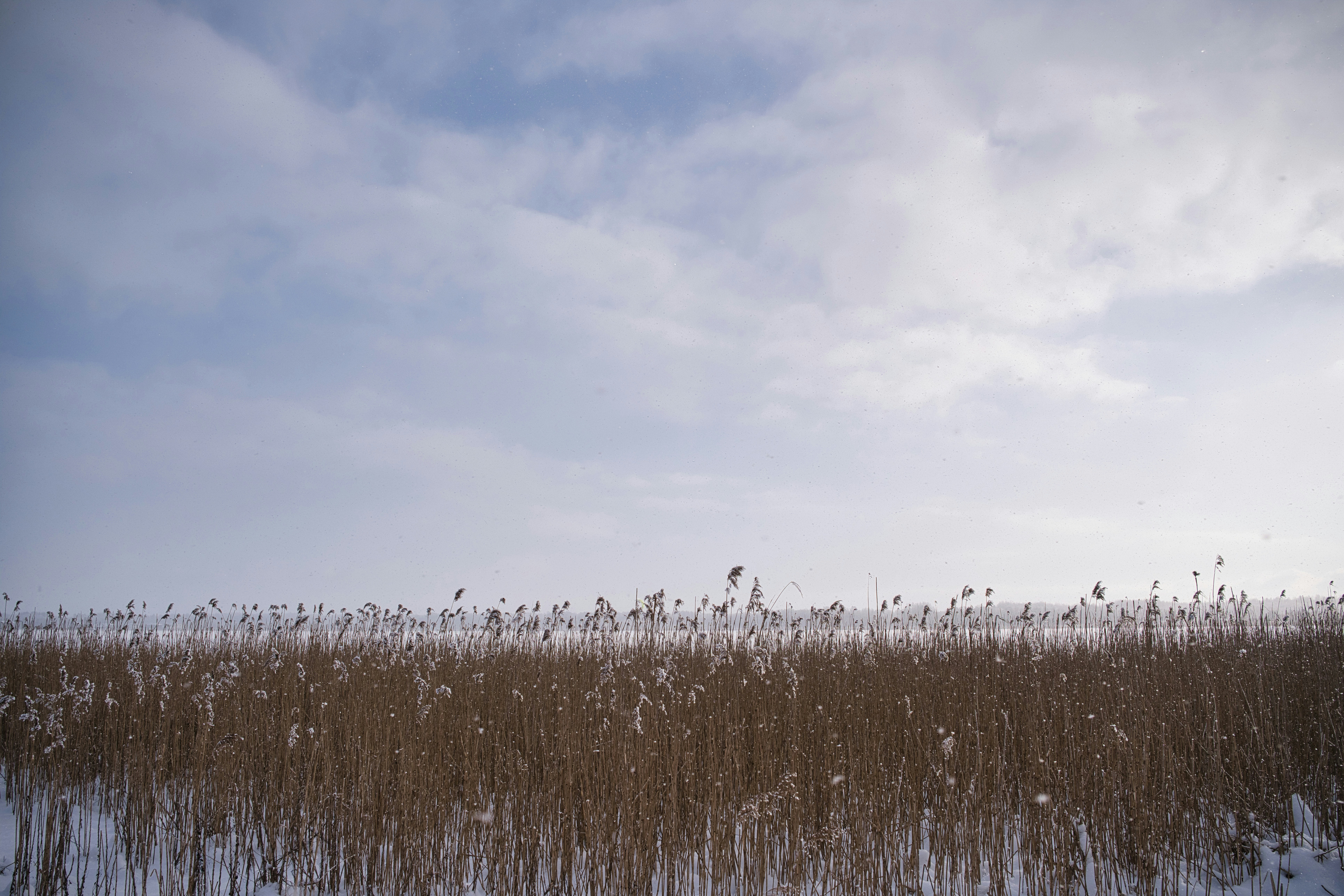 Photo by maksimshutov
