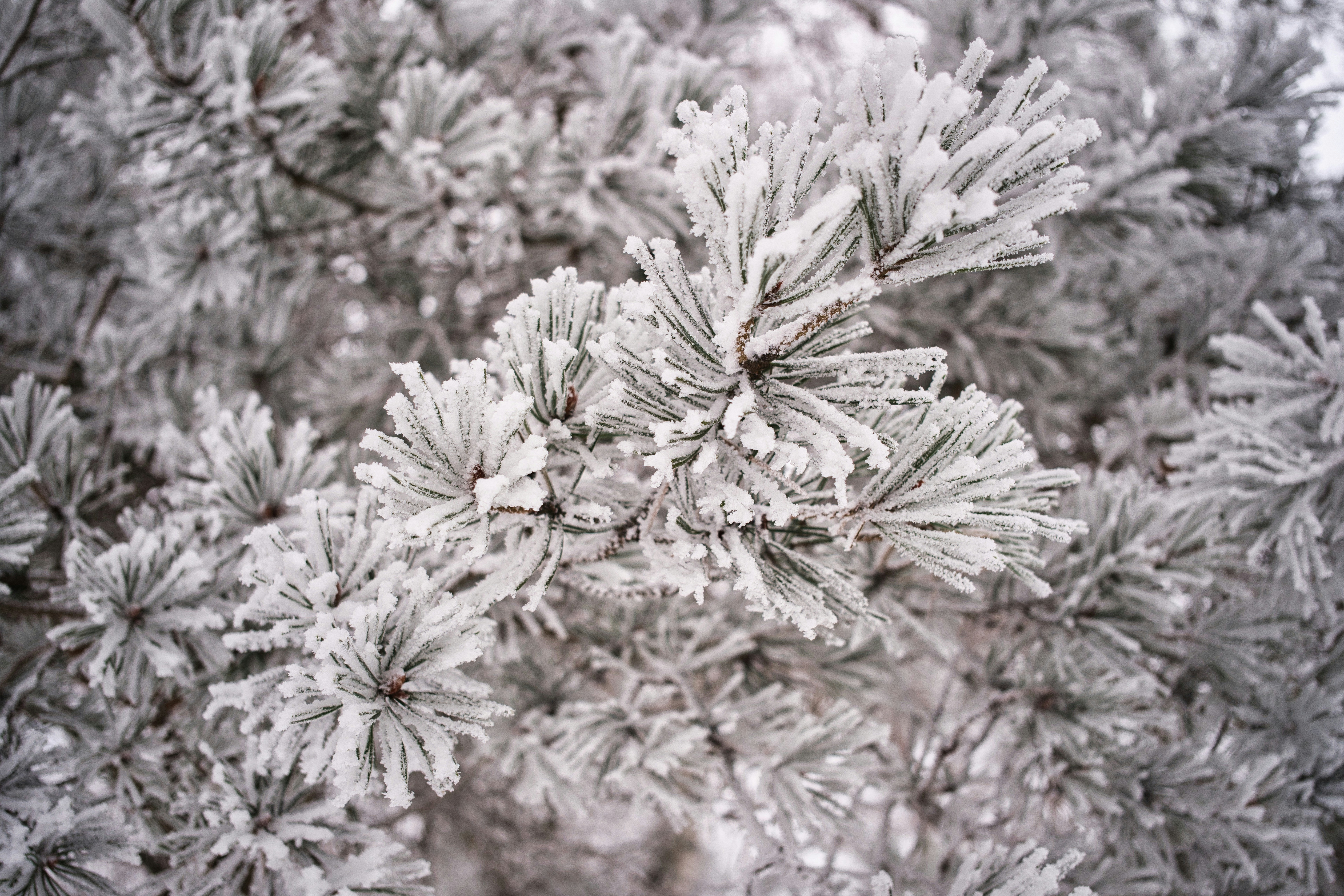 Photo by maksimshutov