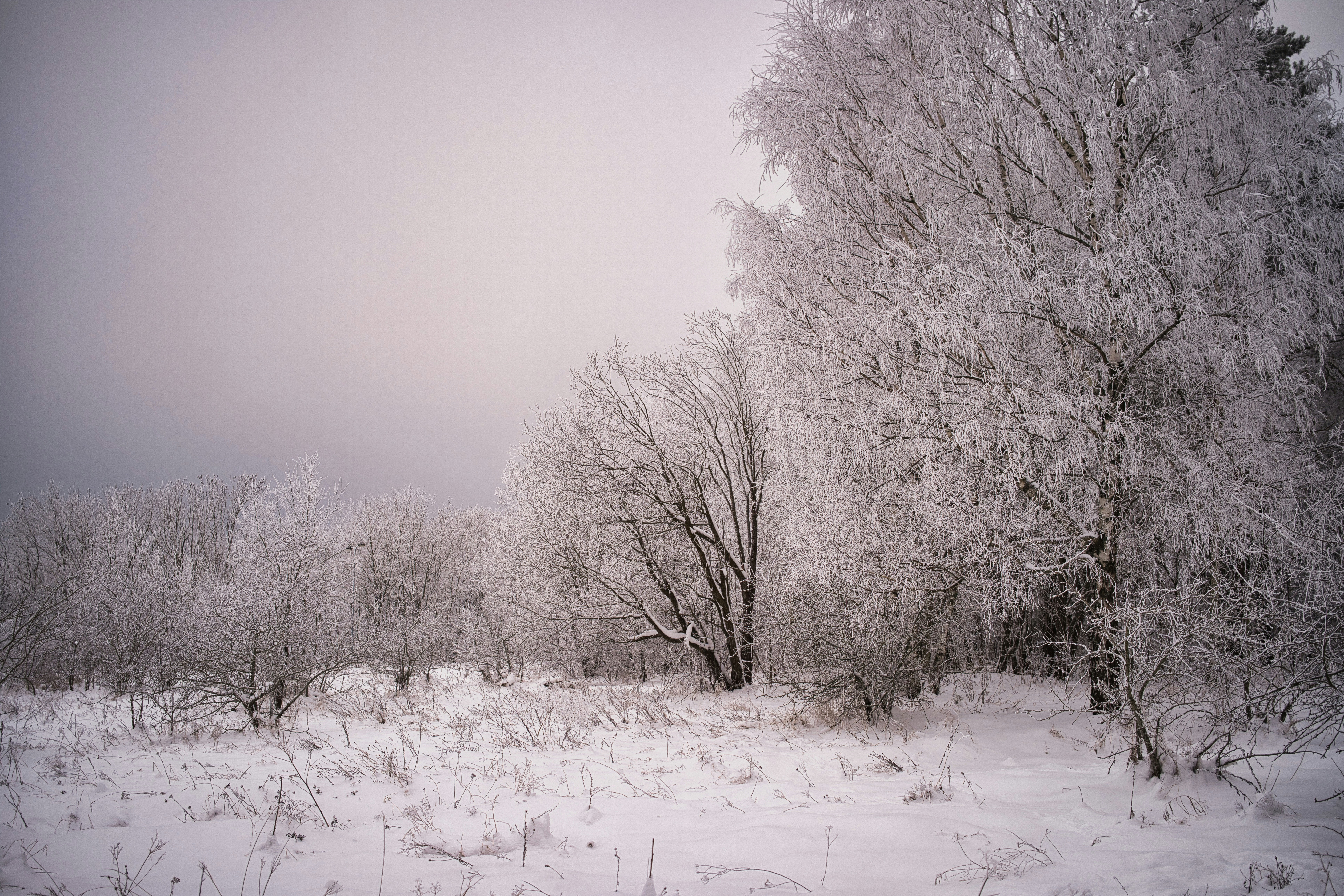 Photo by maksimshutov