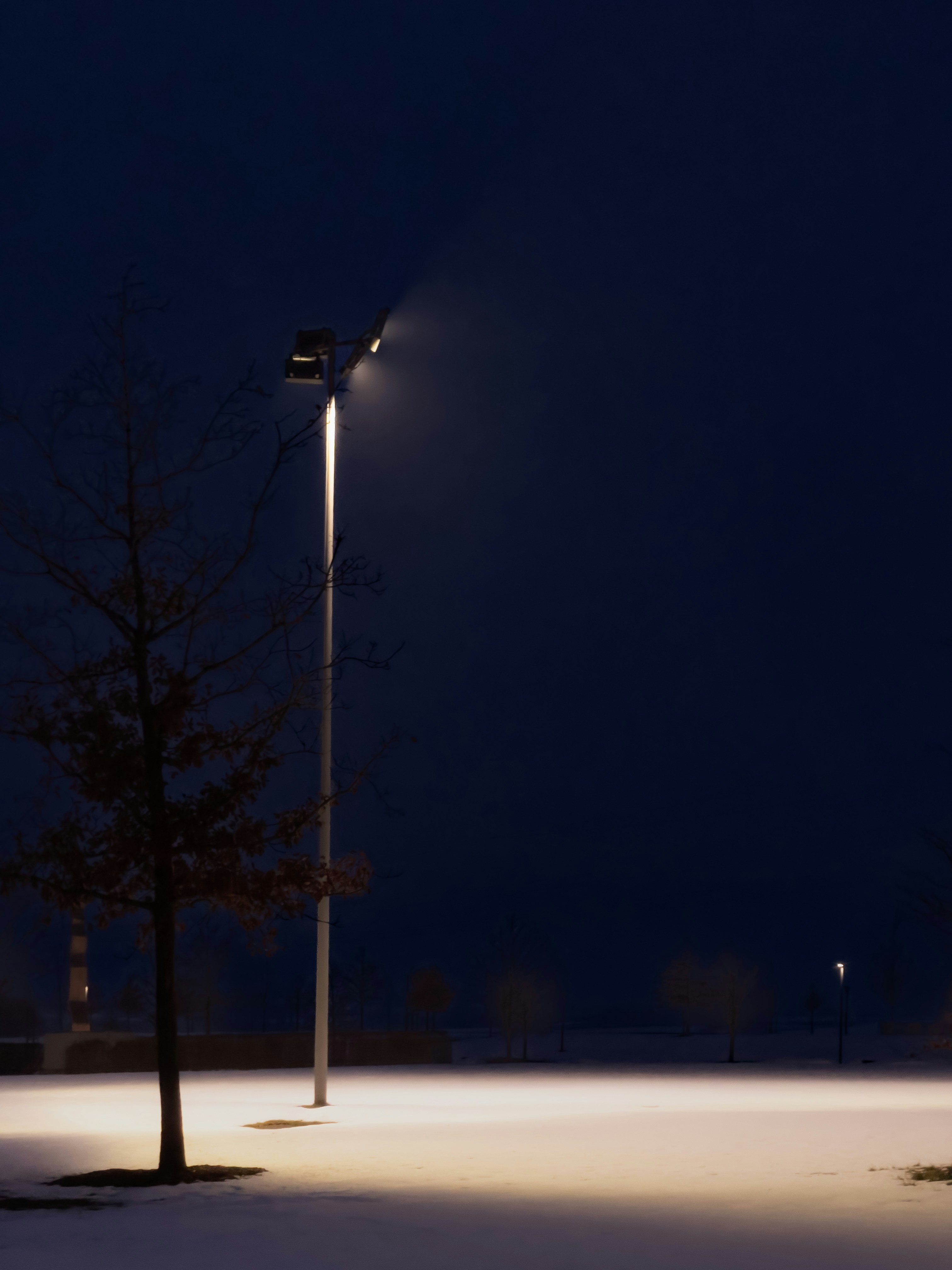 Photo by hdbernd