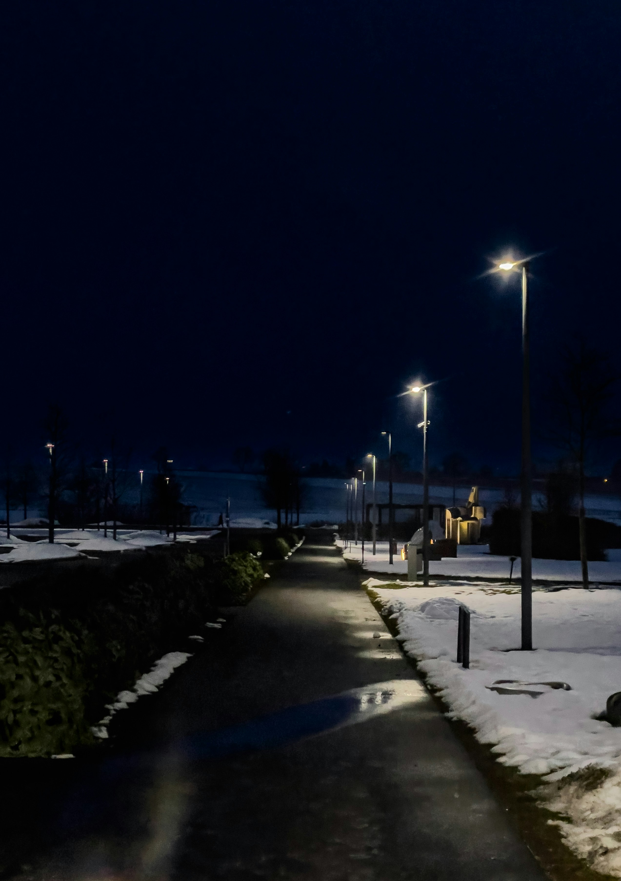 Streetlights illuminate a path through snowy landscape at night.