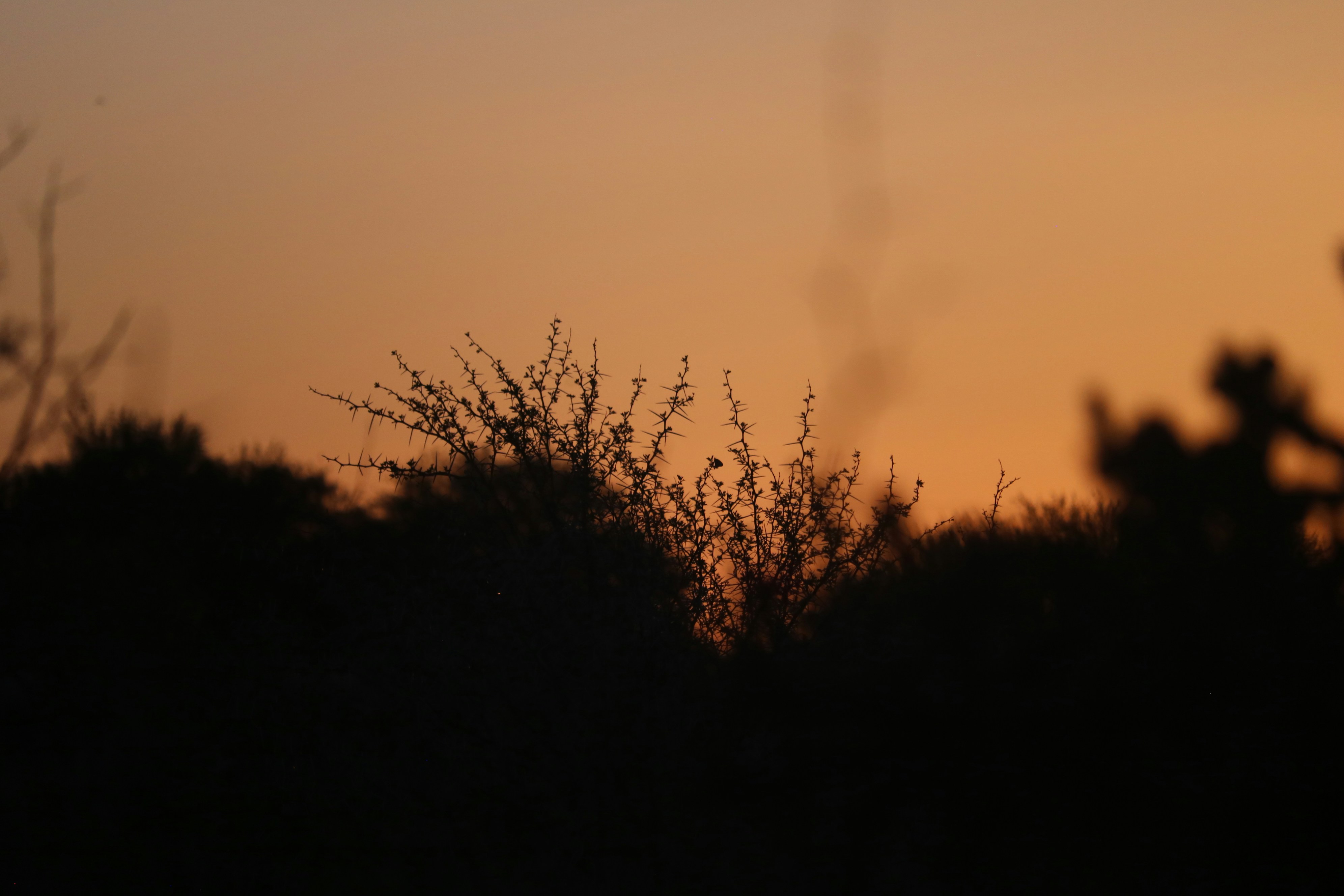 Photo by allysphotos