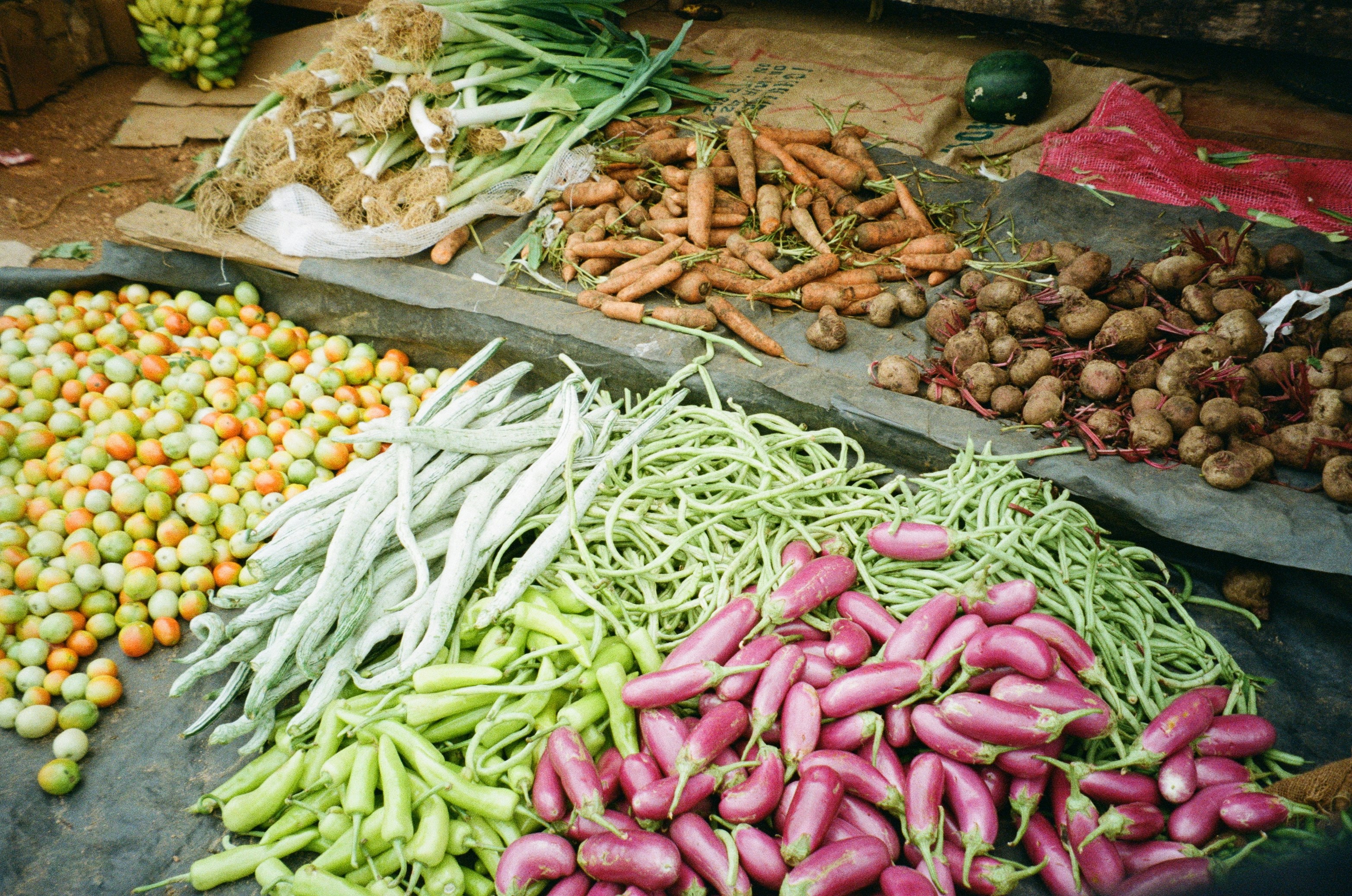 Photo by rosaajakobii