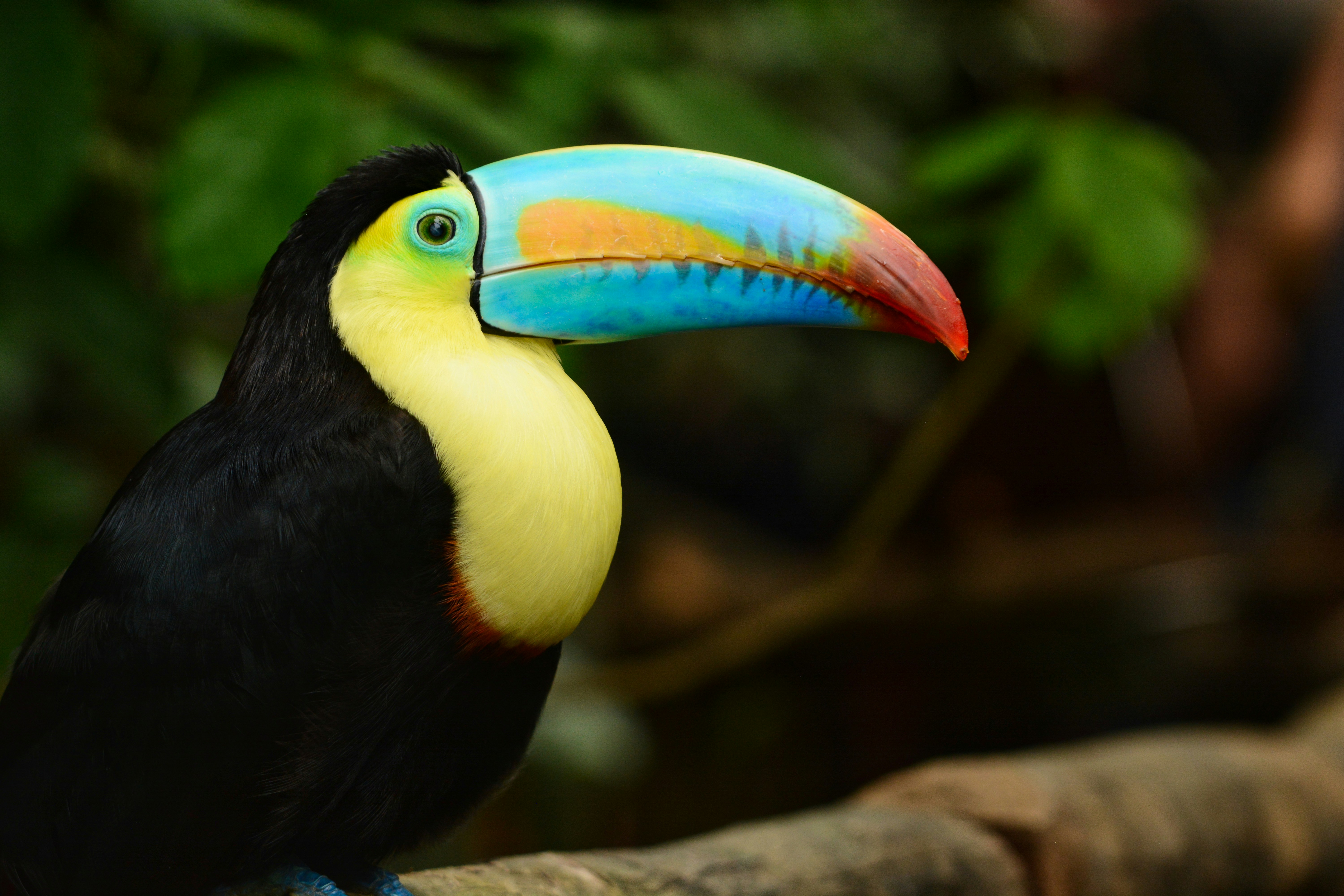 Photo by selvavaleska