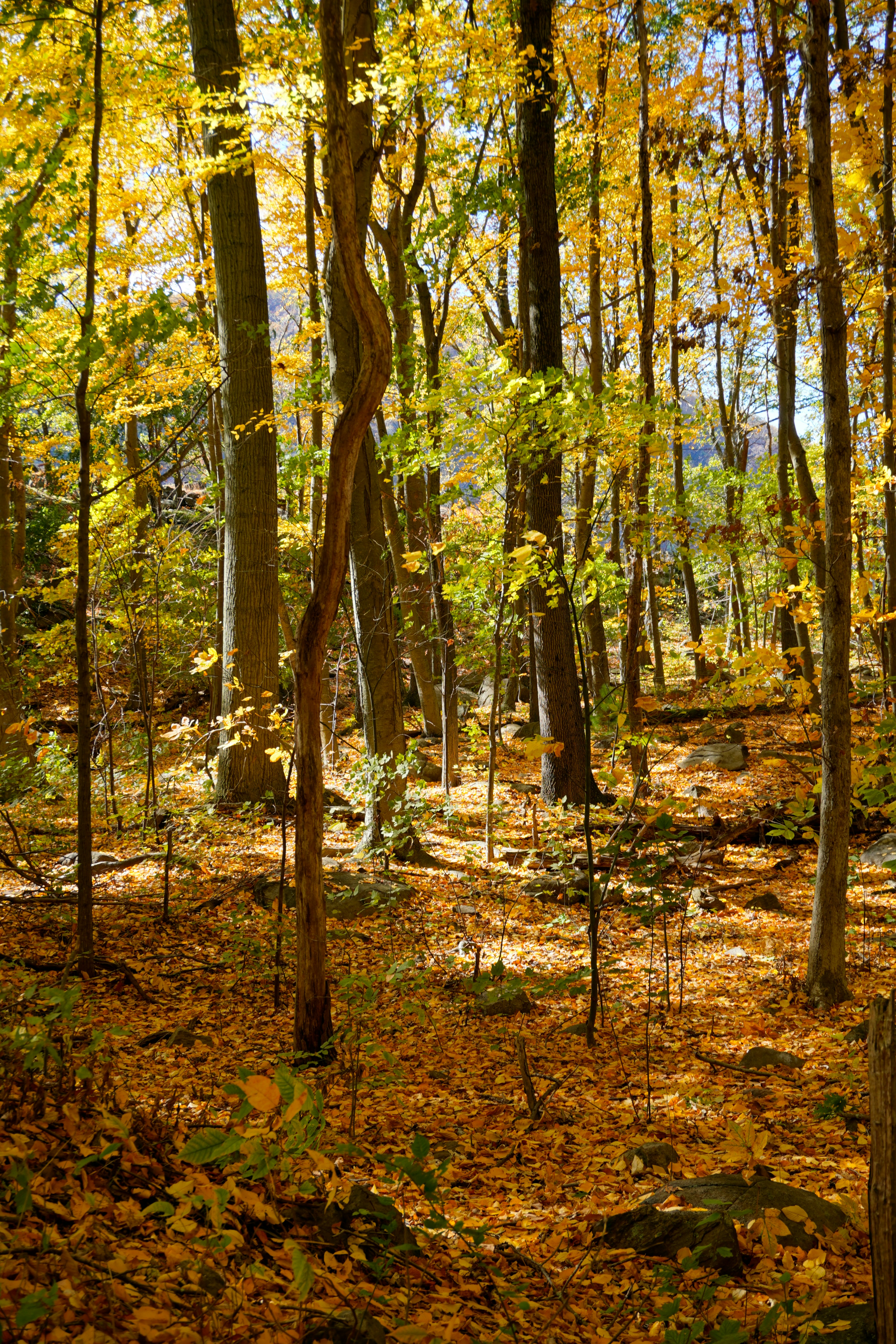 Photo by photobyrubs