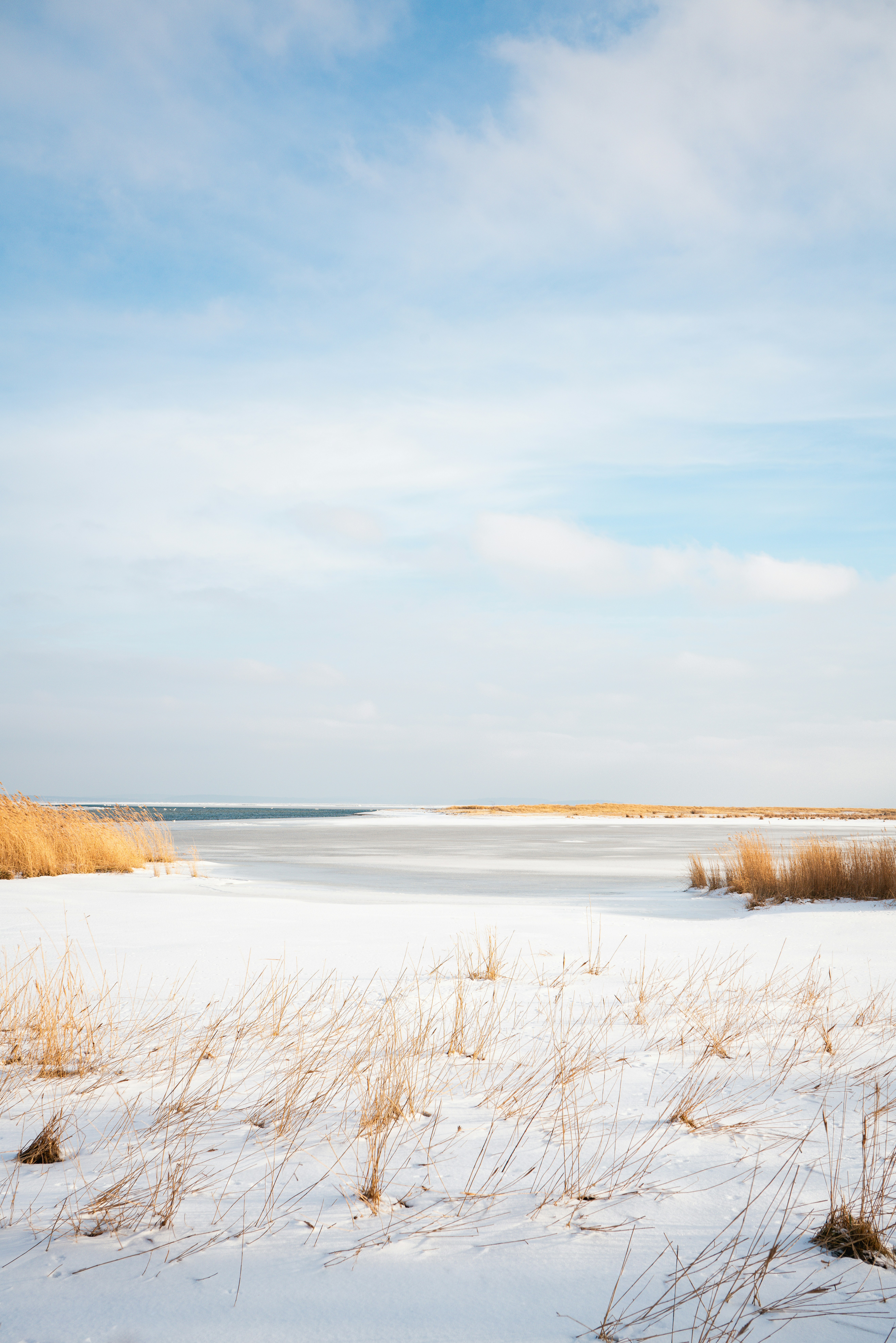 Snowy landscape with dry grass and frozen water