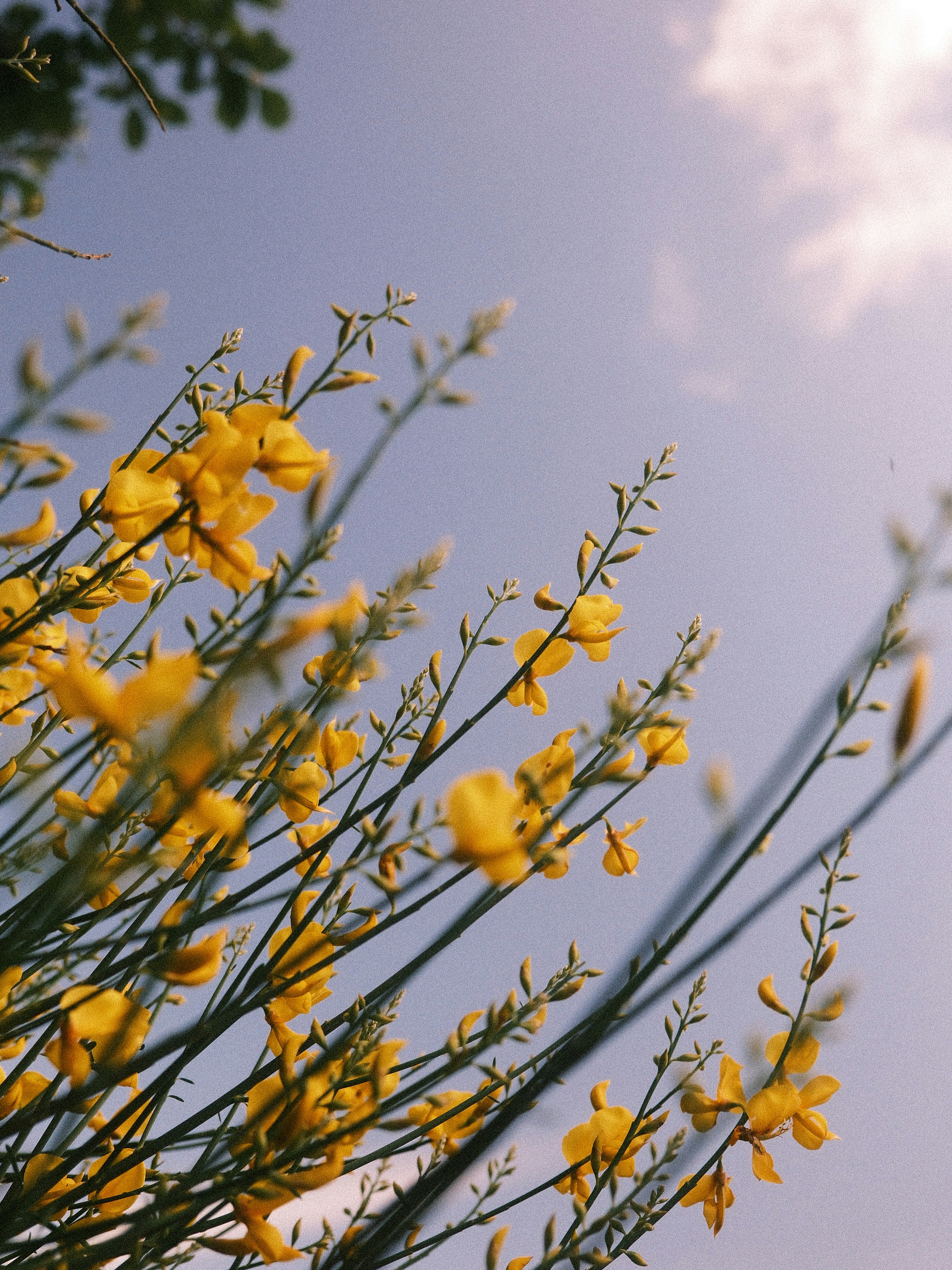 Photo by tufisalexandru