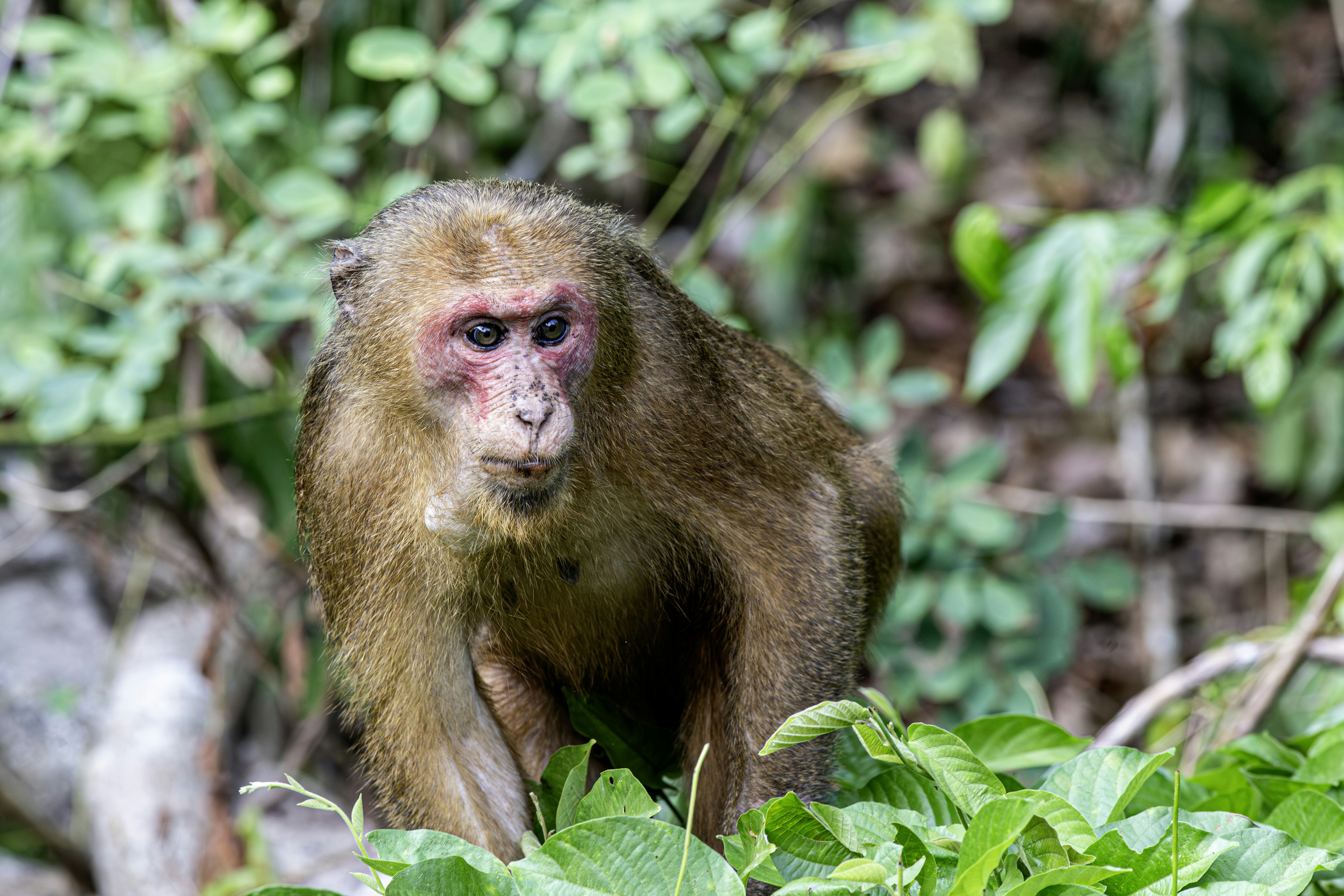 Photo by erik_karits