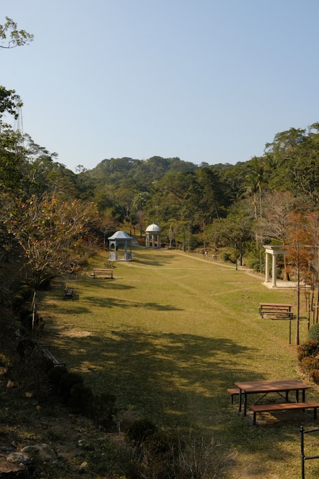 Picnic tables on a grass lawn
