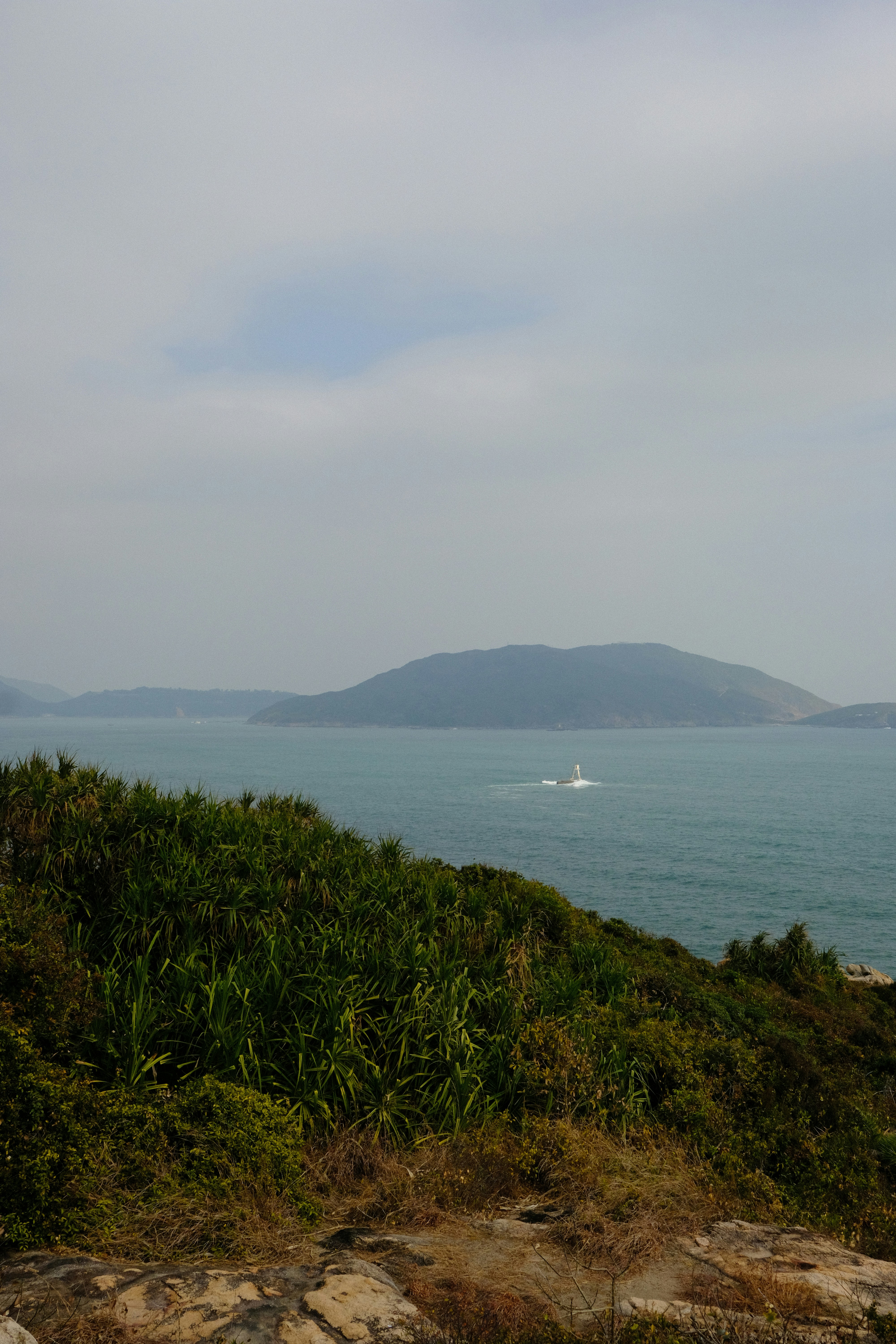 Green coastal landscape overlooking a calm blue sea.