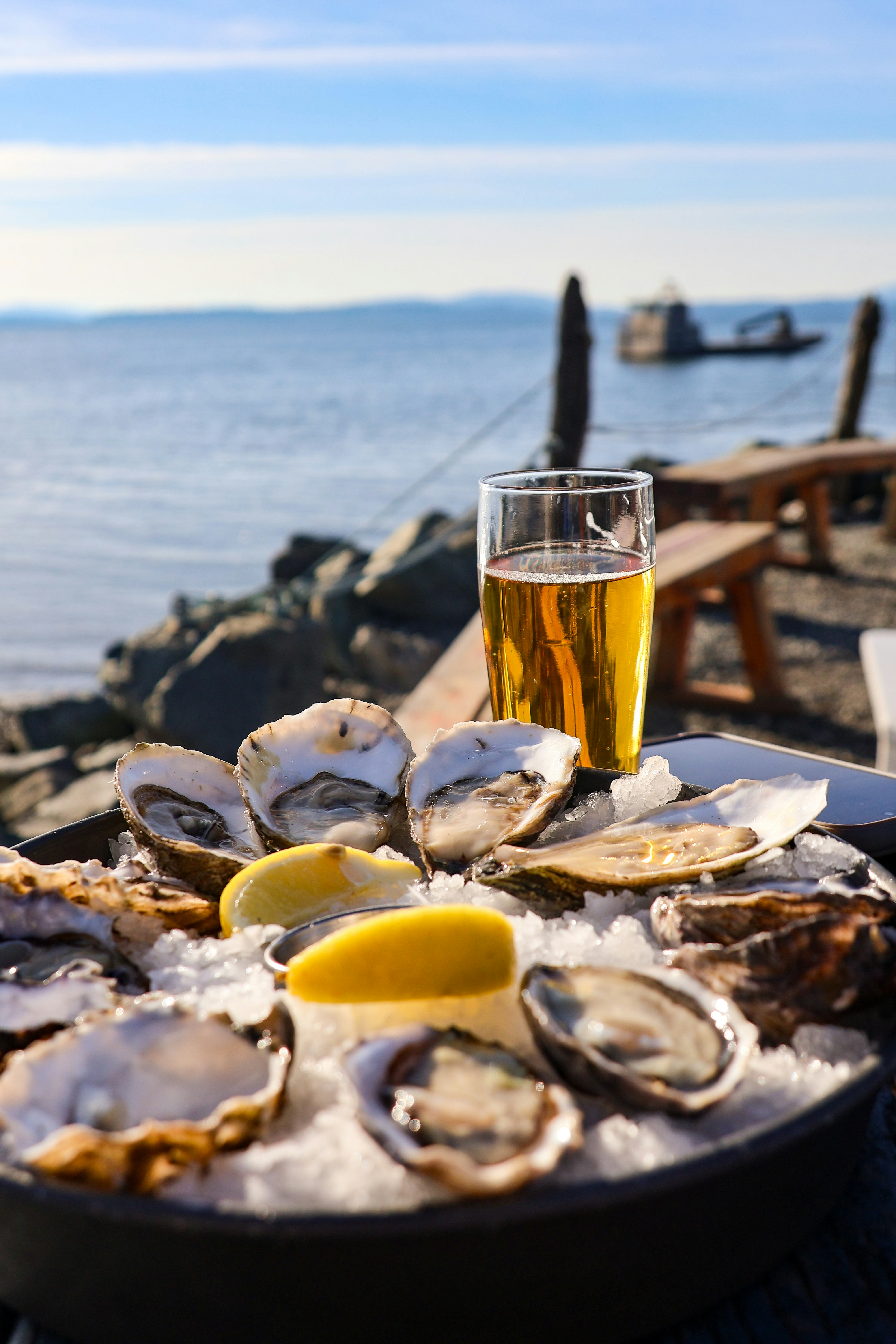 Fresh oysters on ice with lemon and beer