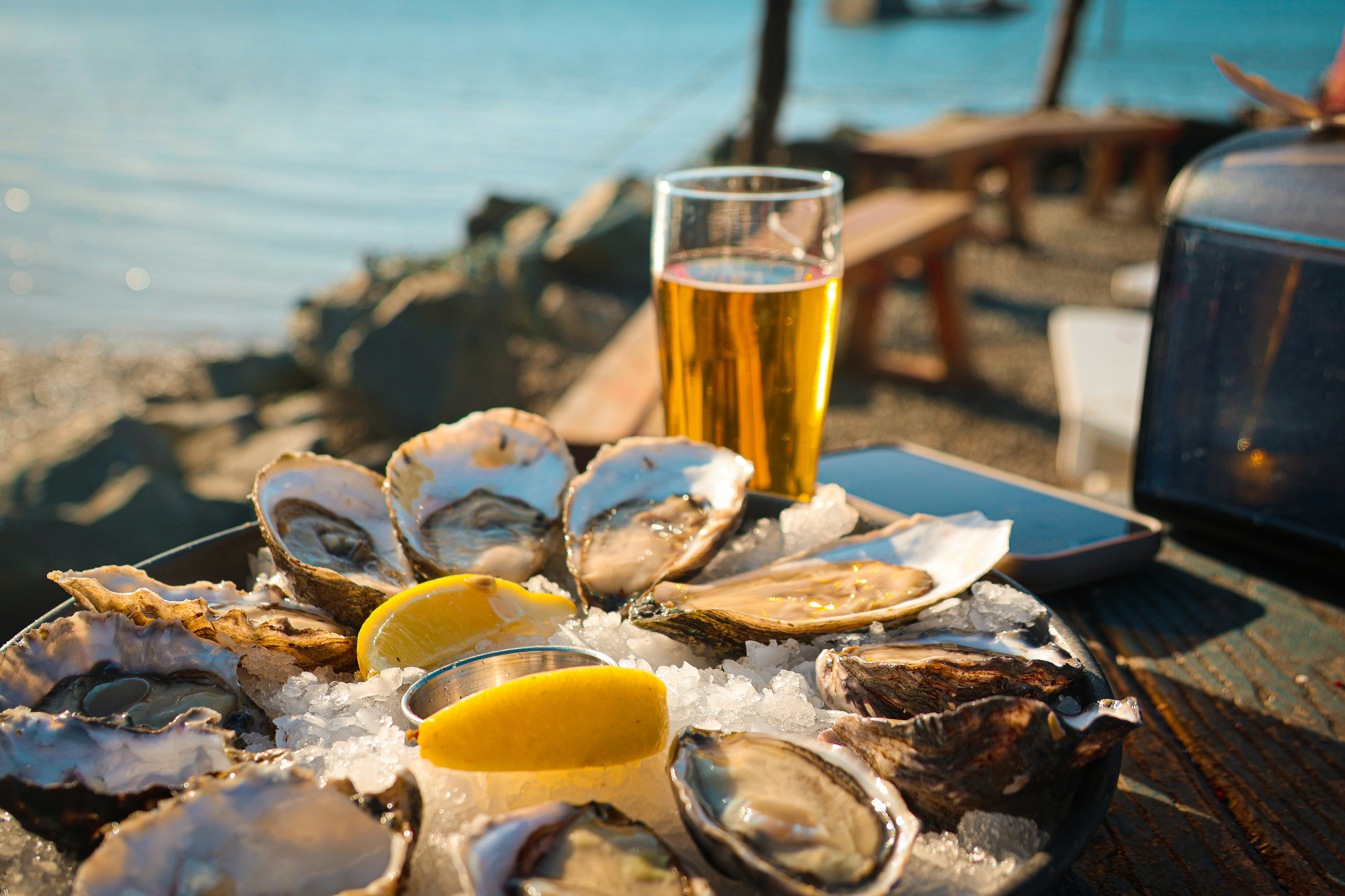 Fresh oysters and beer served on ice by the water.