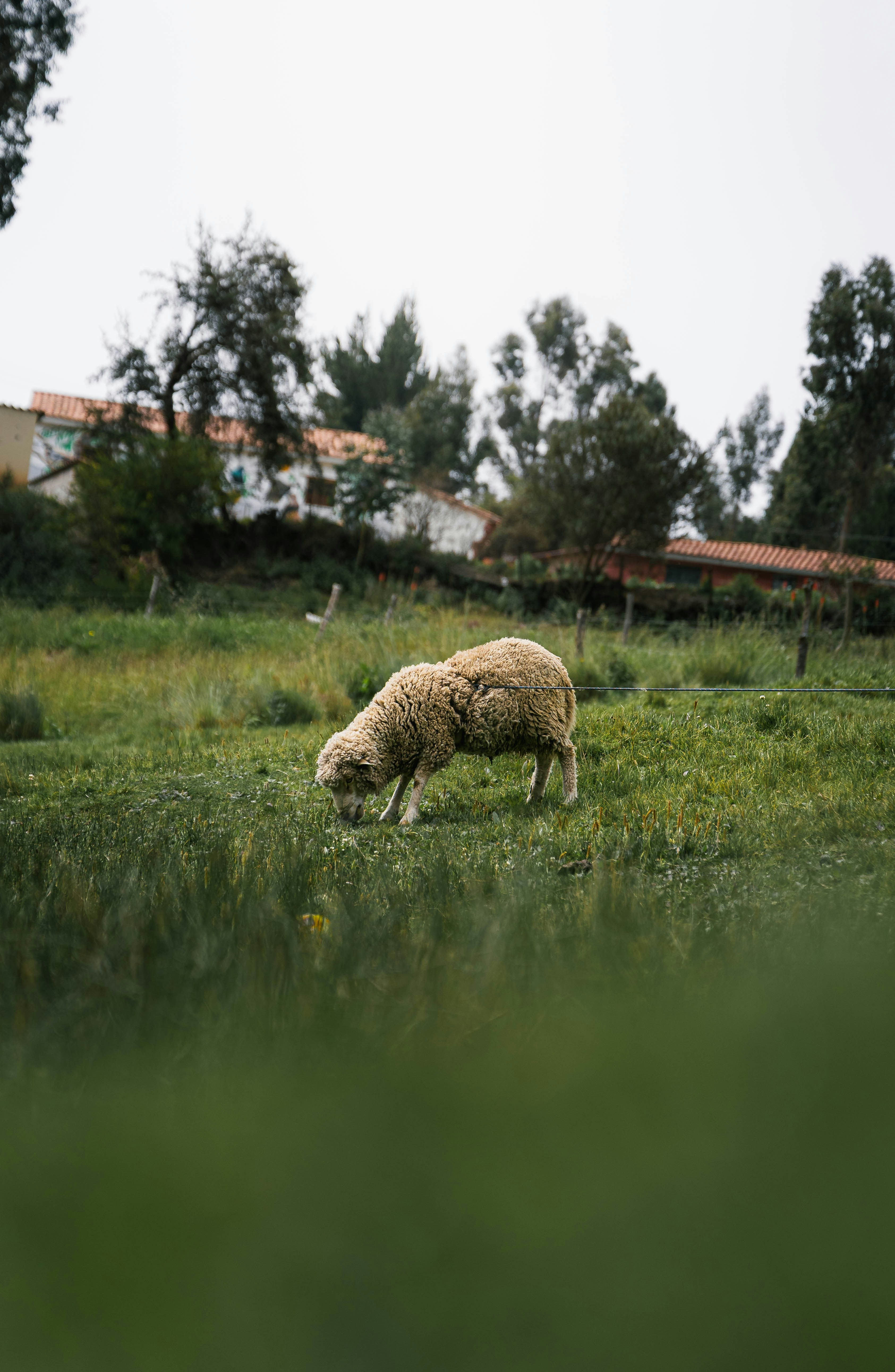 How to Negotiate Directly and What to Ask Before Booking