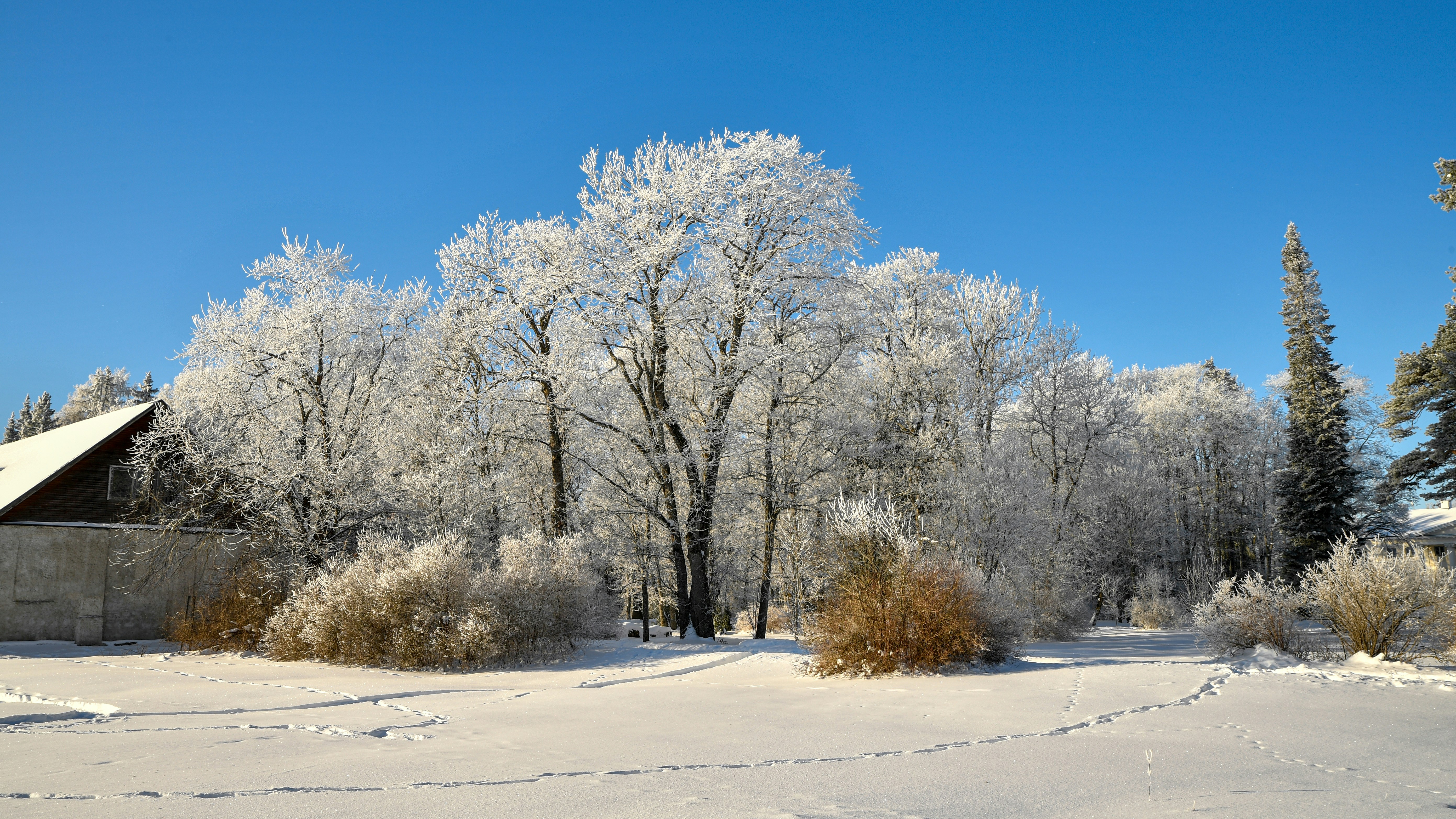 Photo by stadinstudio