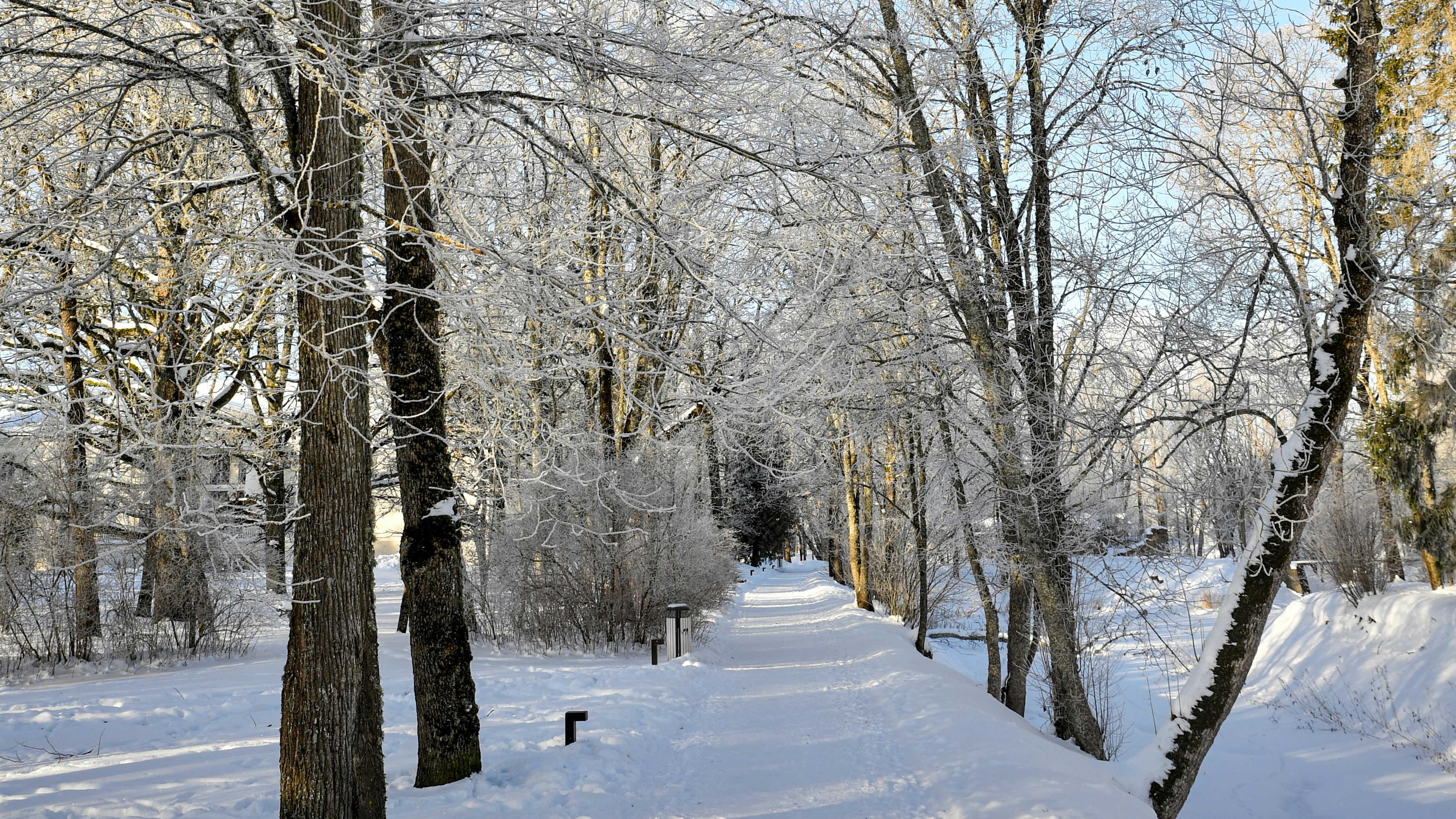 Photo by stadinstudio