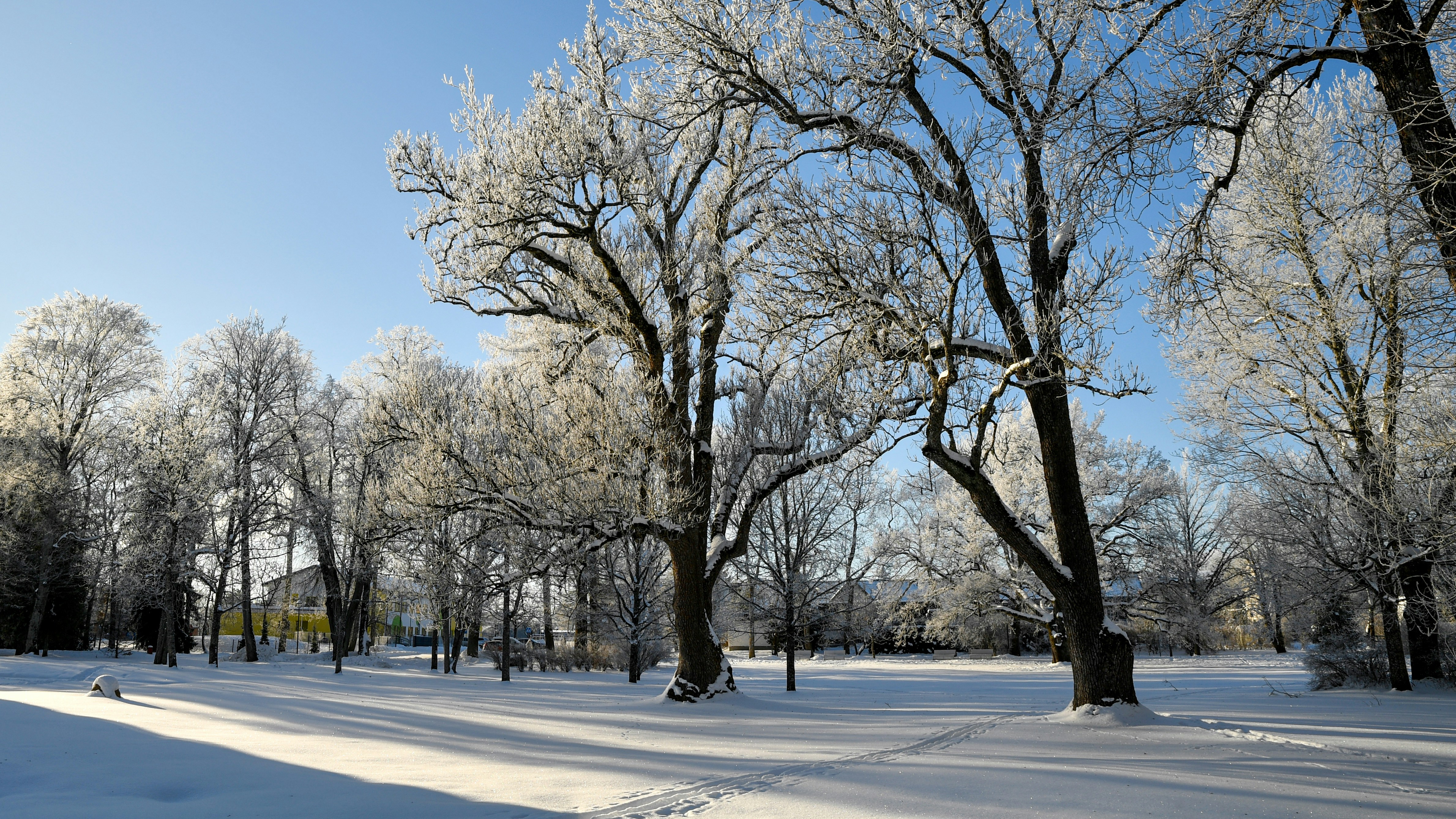 Photo by stadinstudio