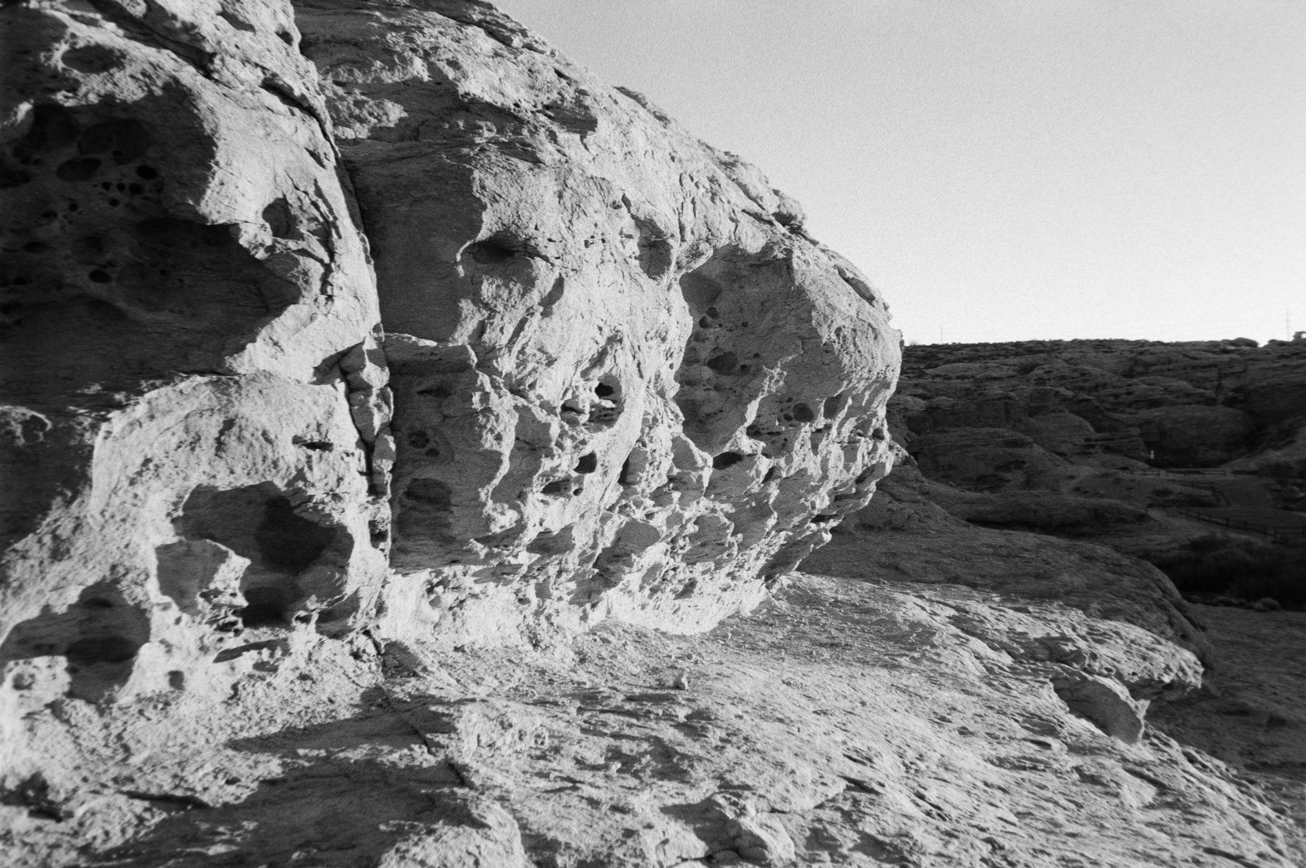 Photo by theguccer2100