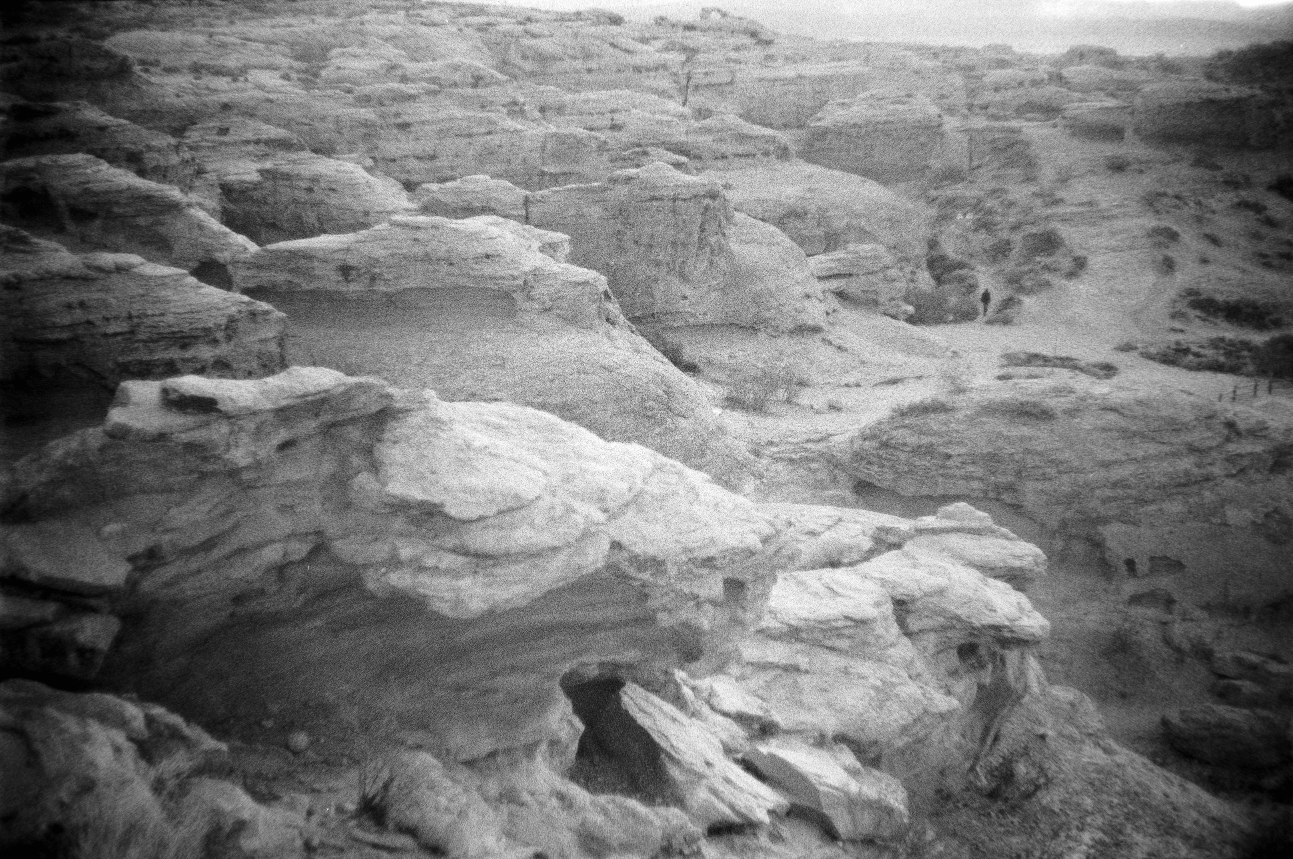 Photo by theguccer2100