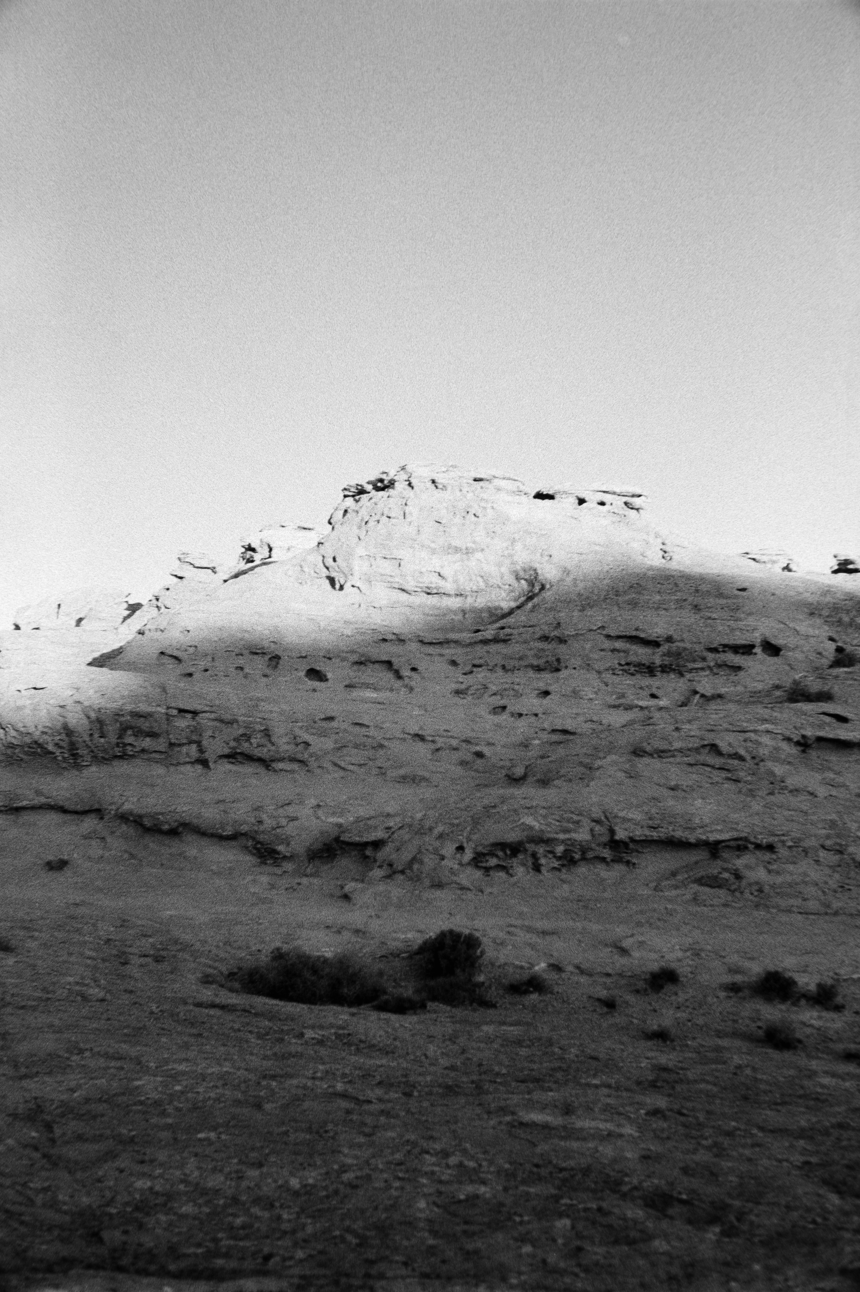 Photo by theguccer2100