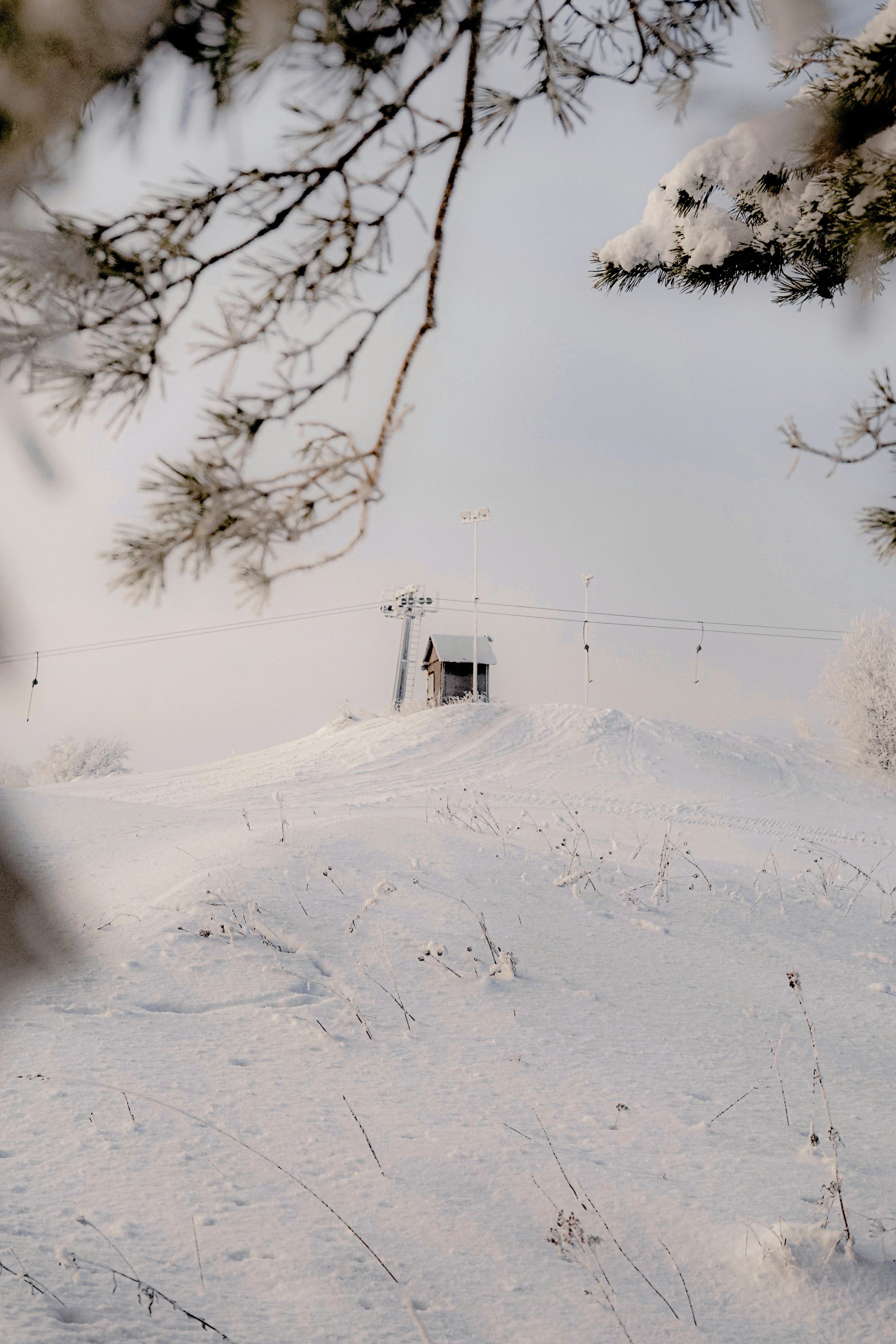 Small cabin on a snow-covered hill under a pale sky.