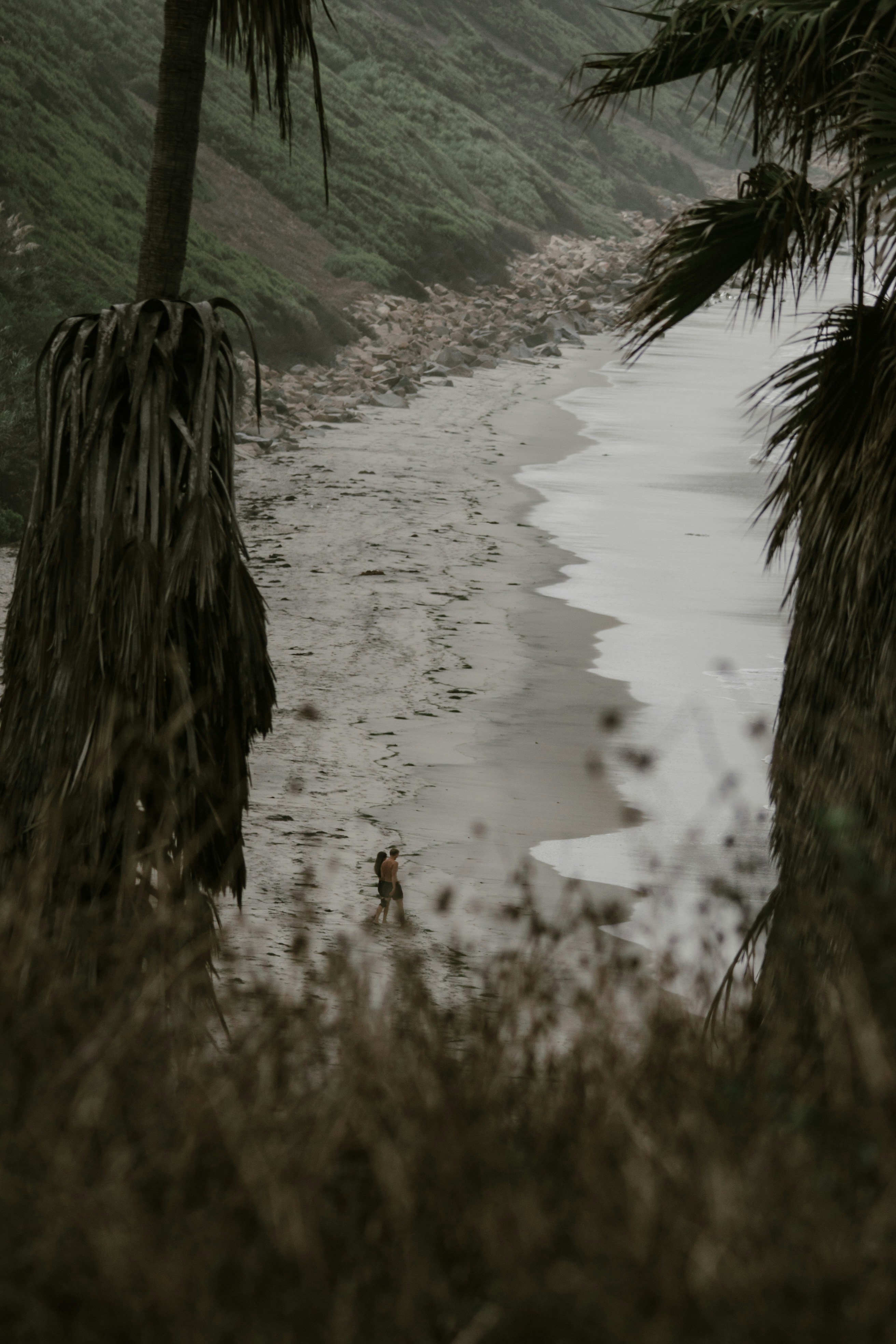 Couple walking on a sandy beach with palm trees.